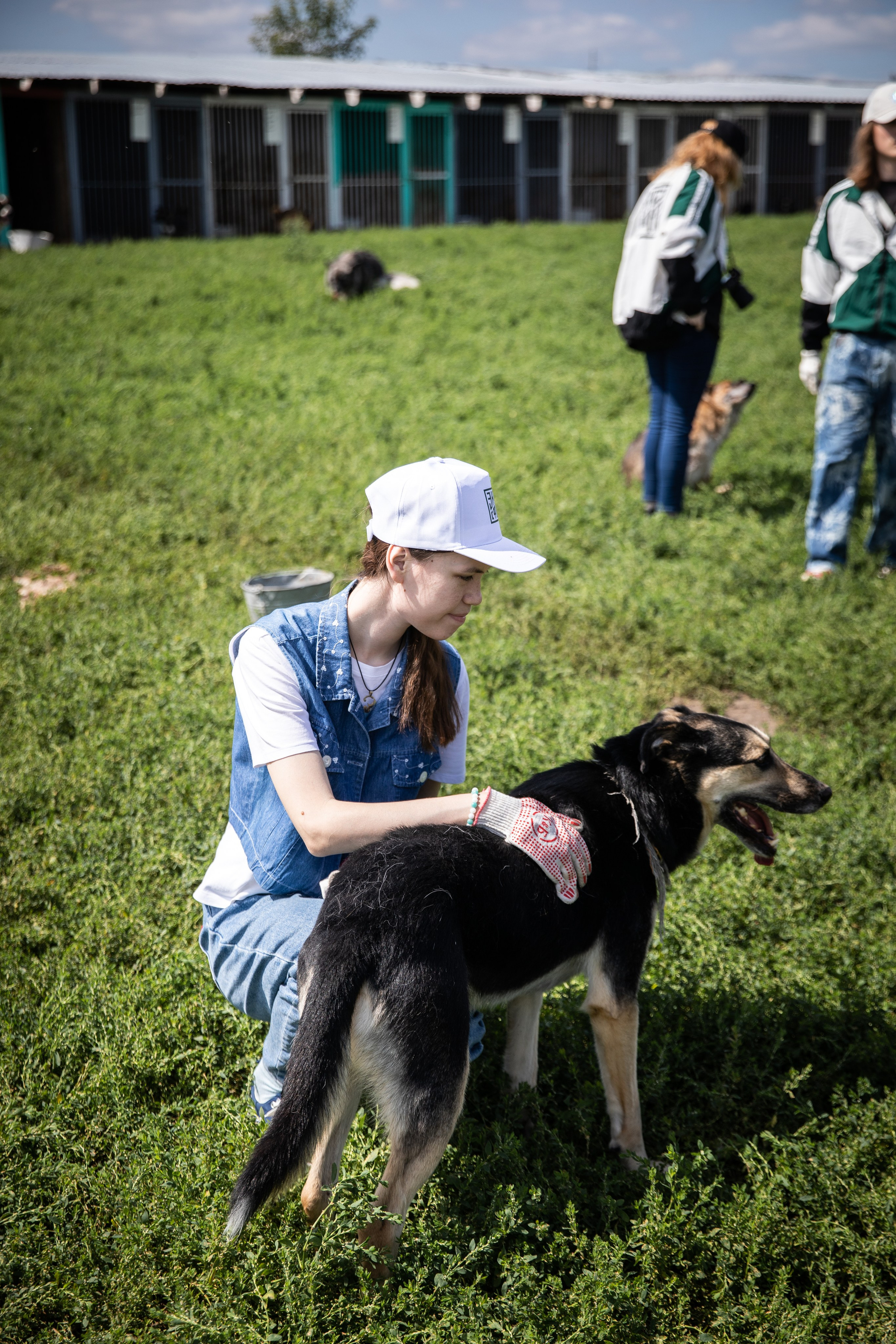 Приют — Наш дом. Репортажный и свадебный фотограф в Челябинске Елисеев Павел
