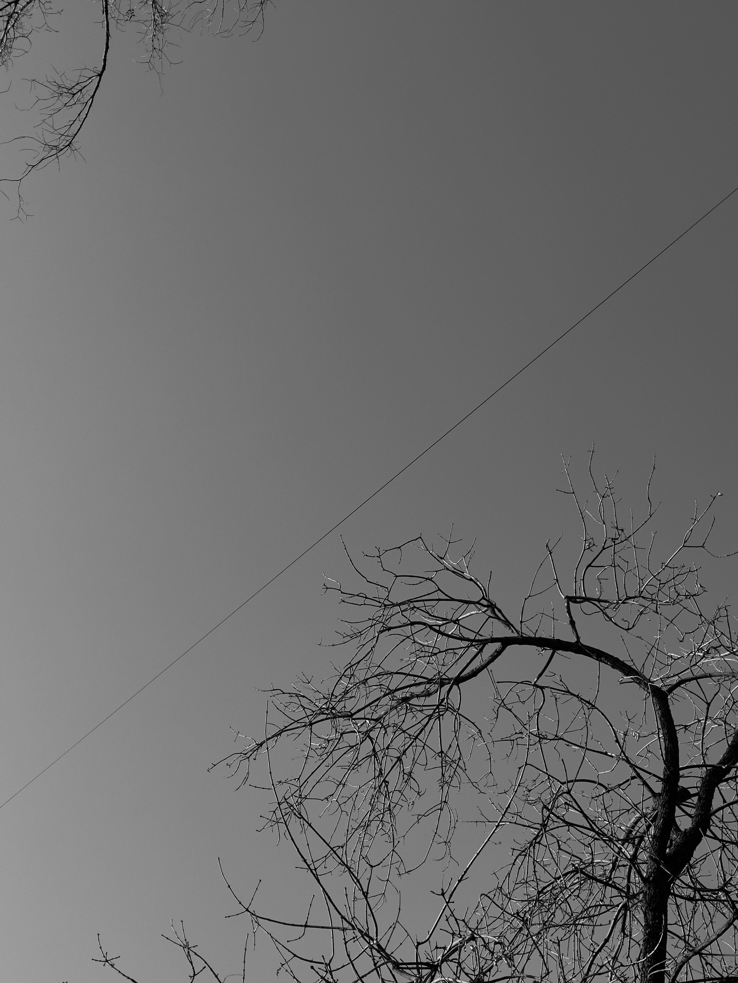 Визуальный дневник. Репортажный фотограф в Алматы Цой Сергей