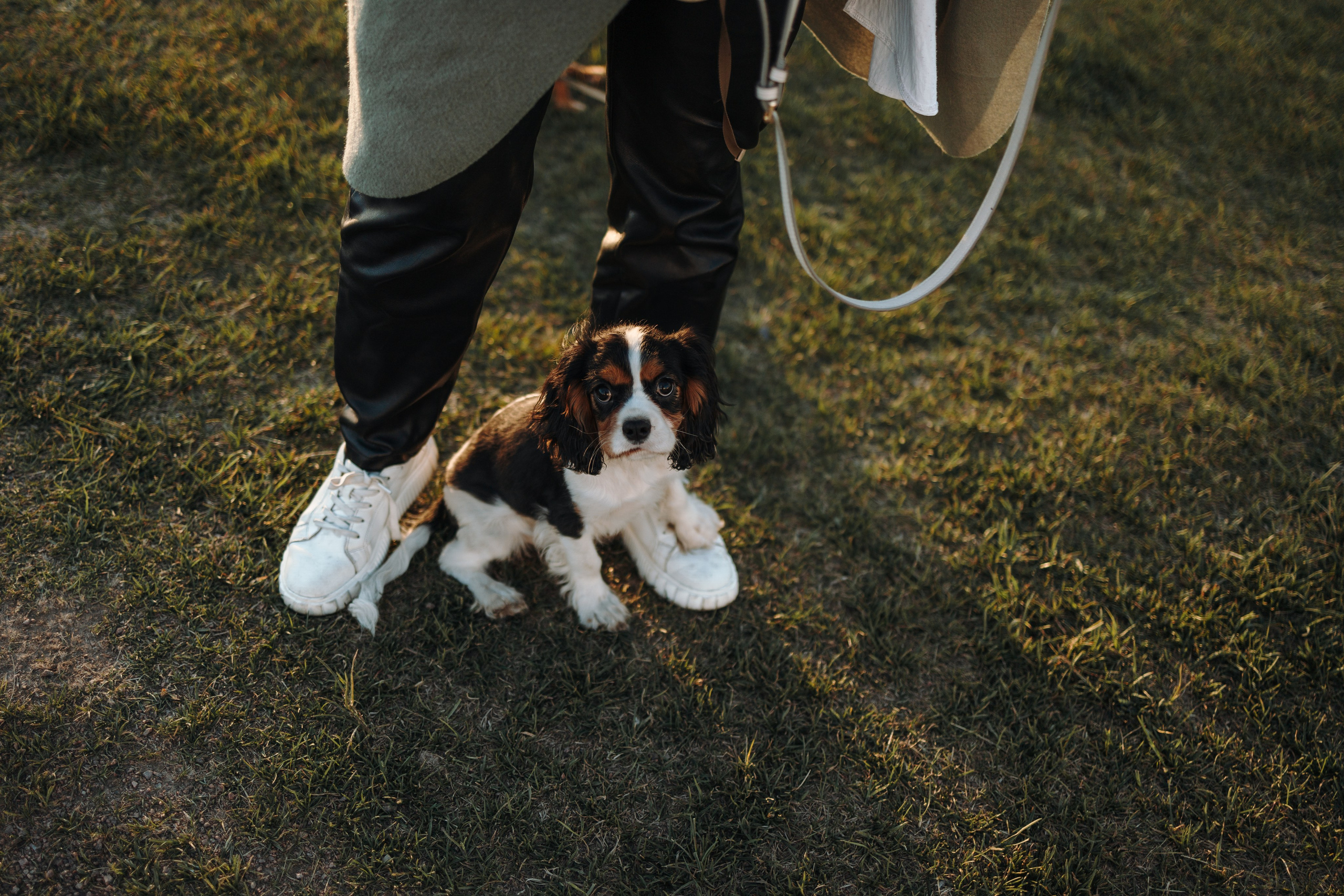 Аня, Стеша и Степан. Фотограф — Анималист | Санкт-Петербург