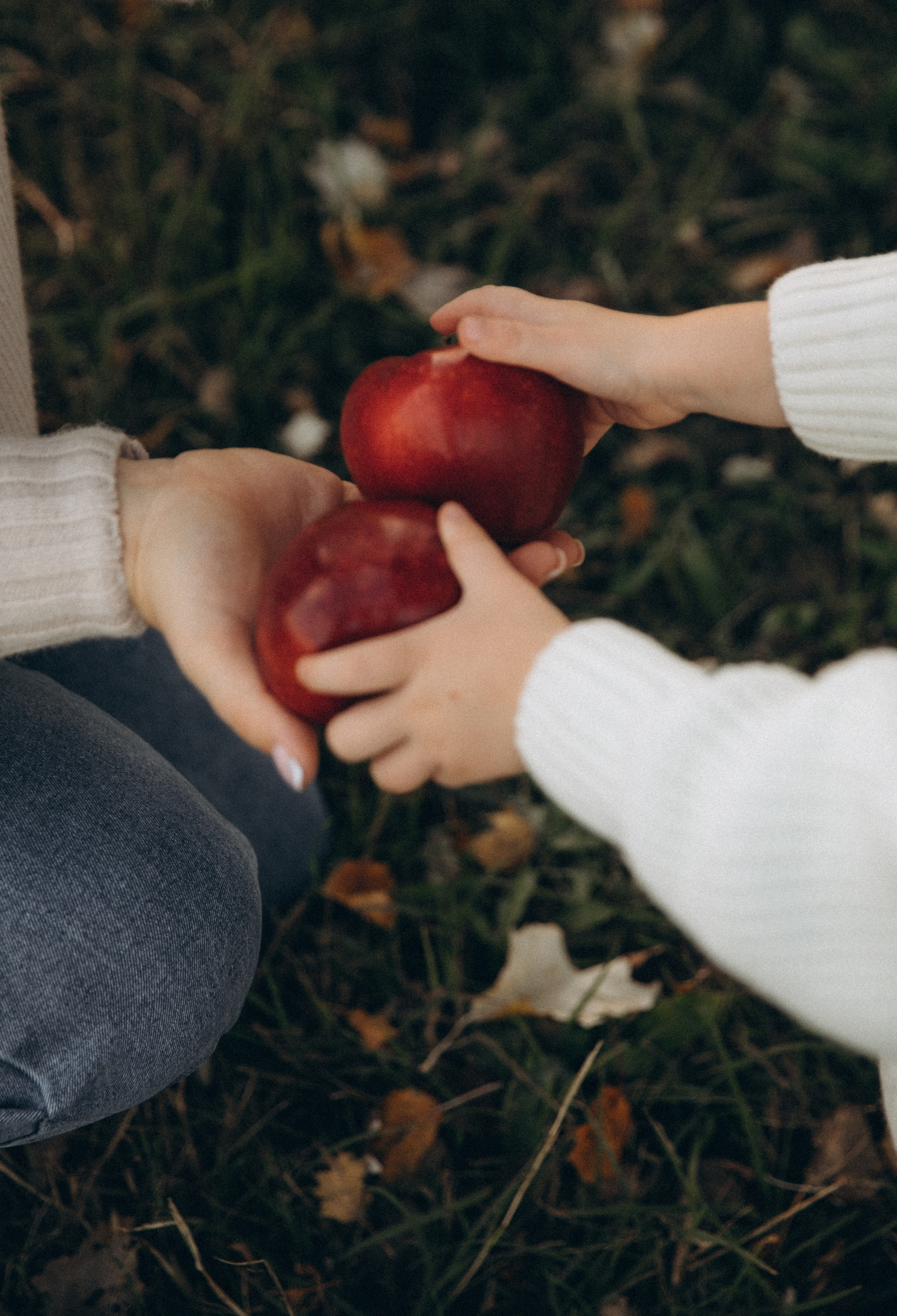 Любовь. Свадебный и семейный фотограф Василина Батищева в Моздоке, Северной Осетии и КМВ