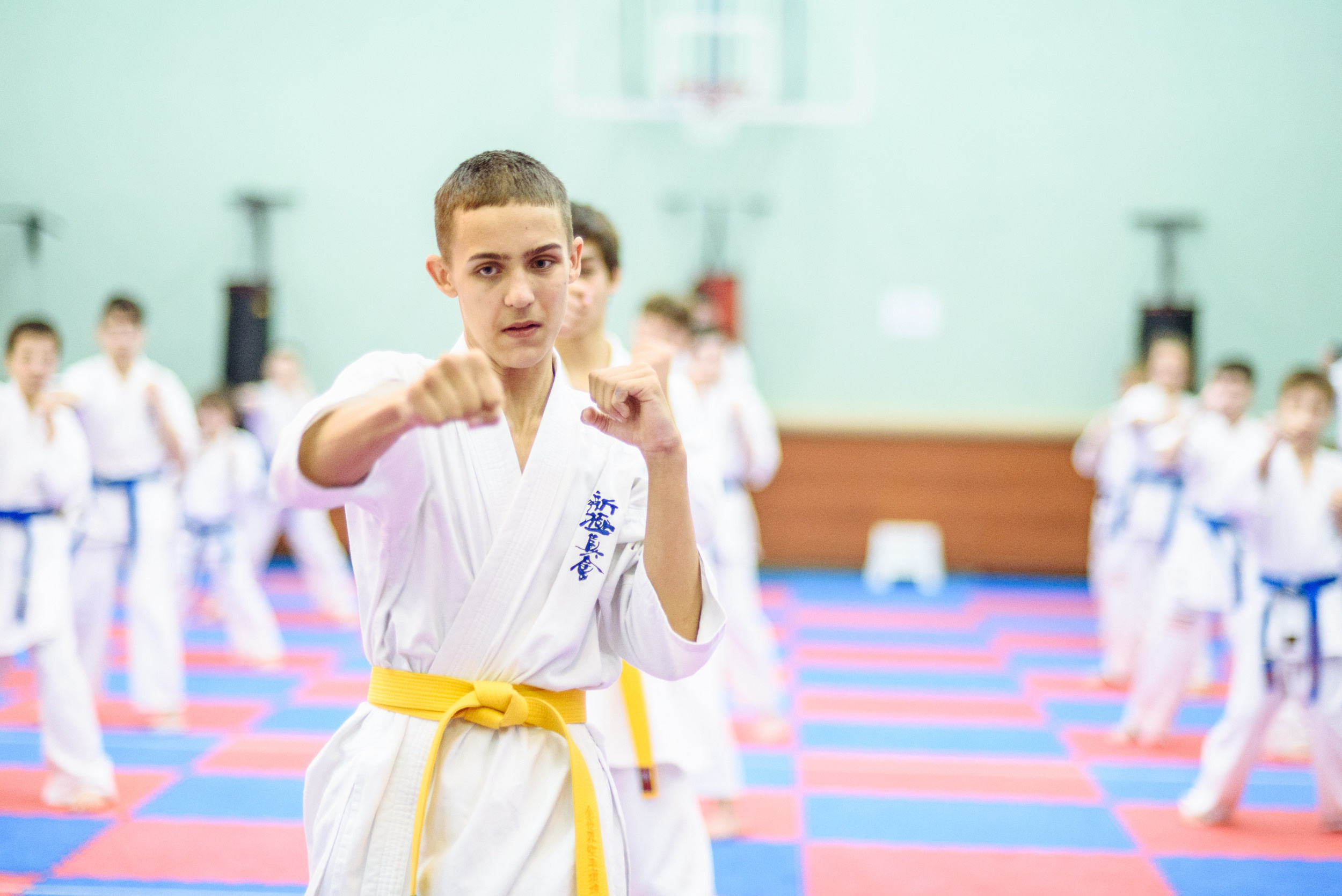 Кю тест спортивной школы каратэ. Свадебный и студийный фотограф в Москве Попов Вячеслав