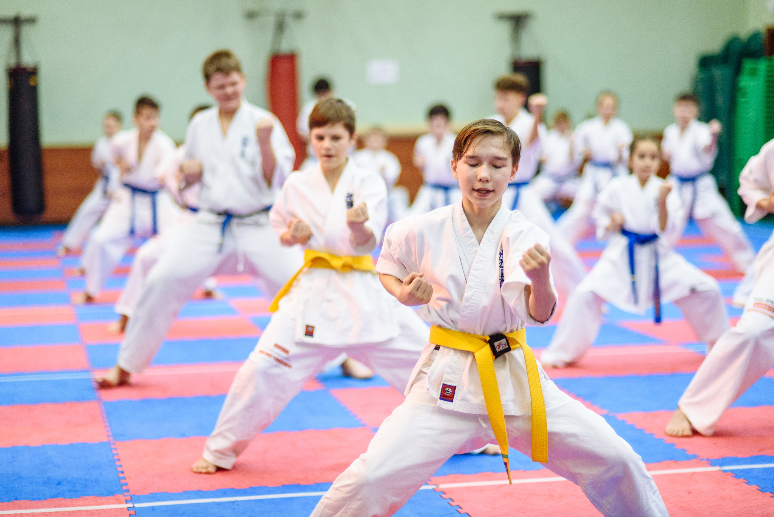 Кю тест спортивной школы каратэ. Свадебный и студийный фотограф в Москве Попов Вячеслав