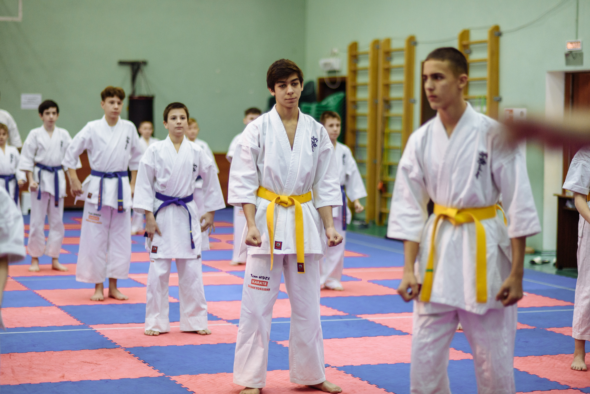 Кю тест спортивной школы каратэ. Свадебный и студийный фотограф в Москве Попов Вячеслав