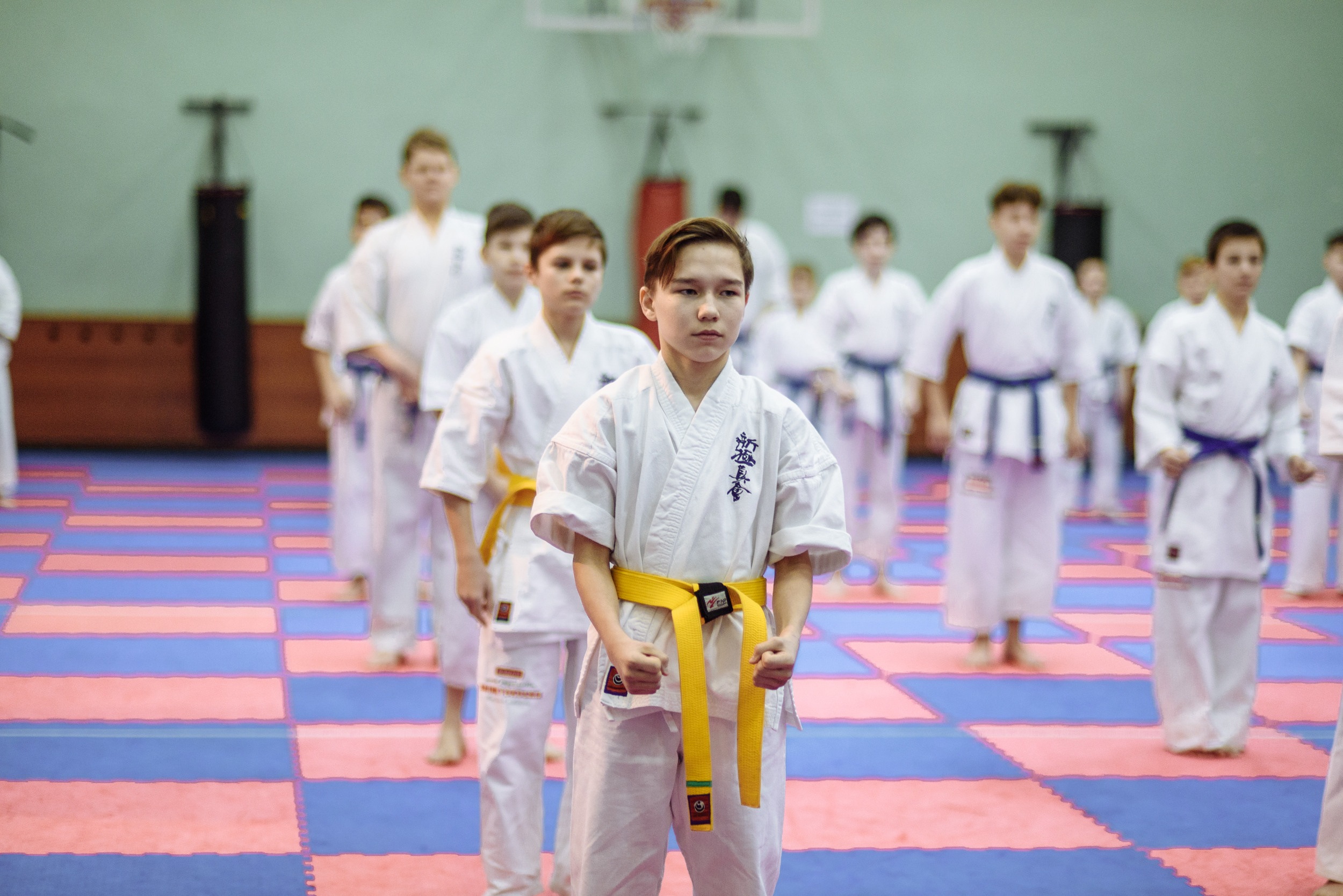 Кю тест спортивной школы каратэ. Свадебный и студийный фотограф в Москве Попов Вячеслав