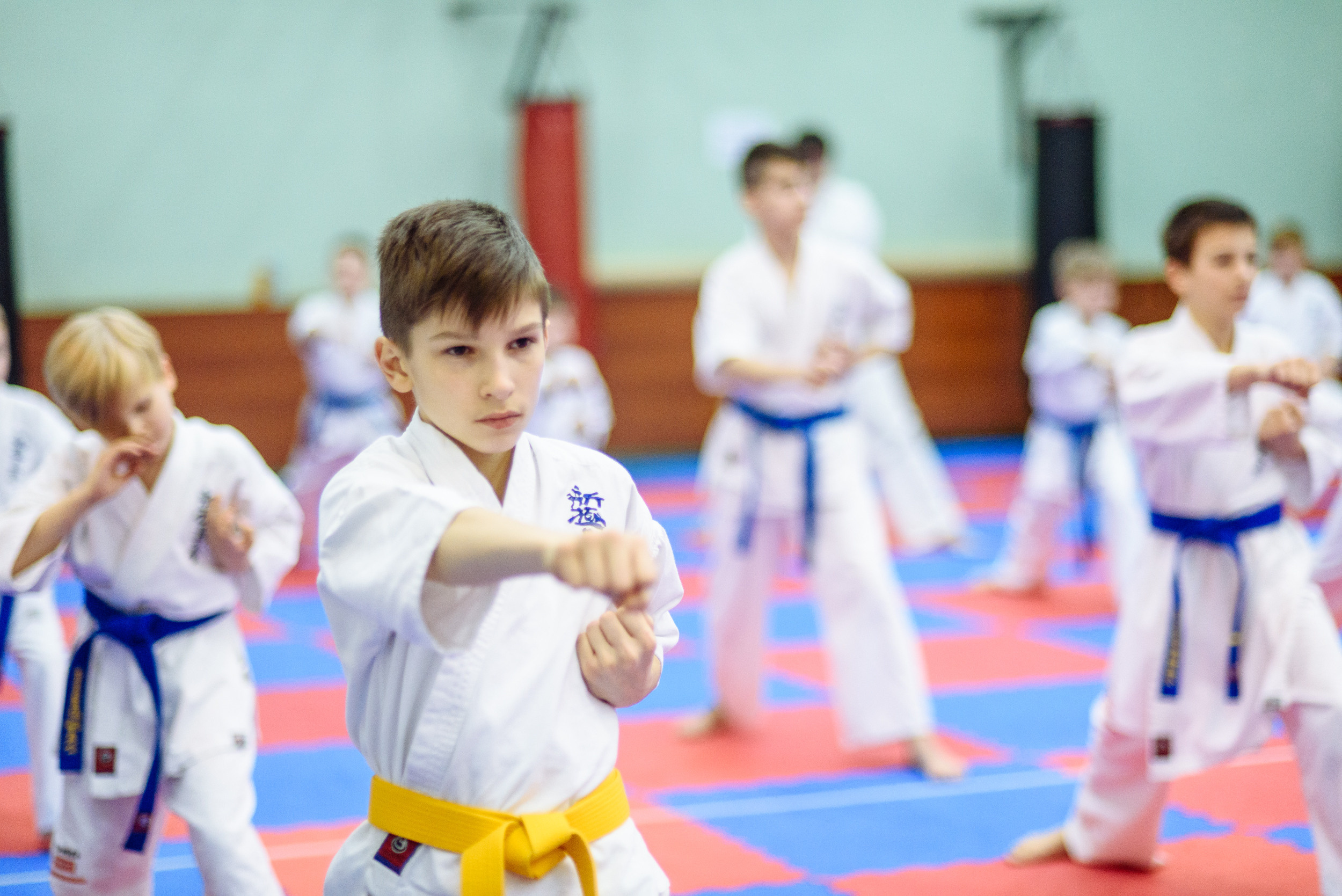 Кю тест спортивной школы каратэ. Свадебный и студийный фотограф в Москве Попов Вячеслав