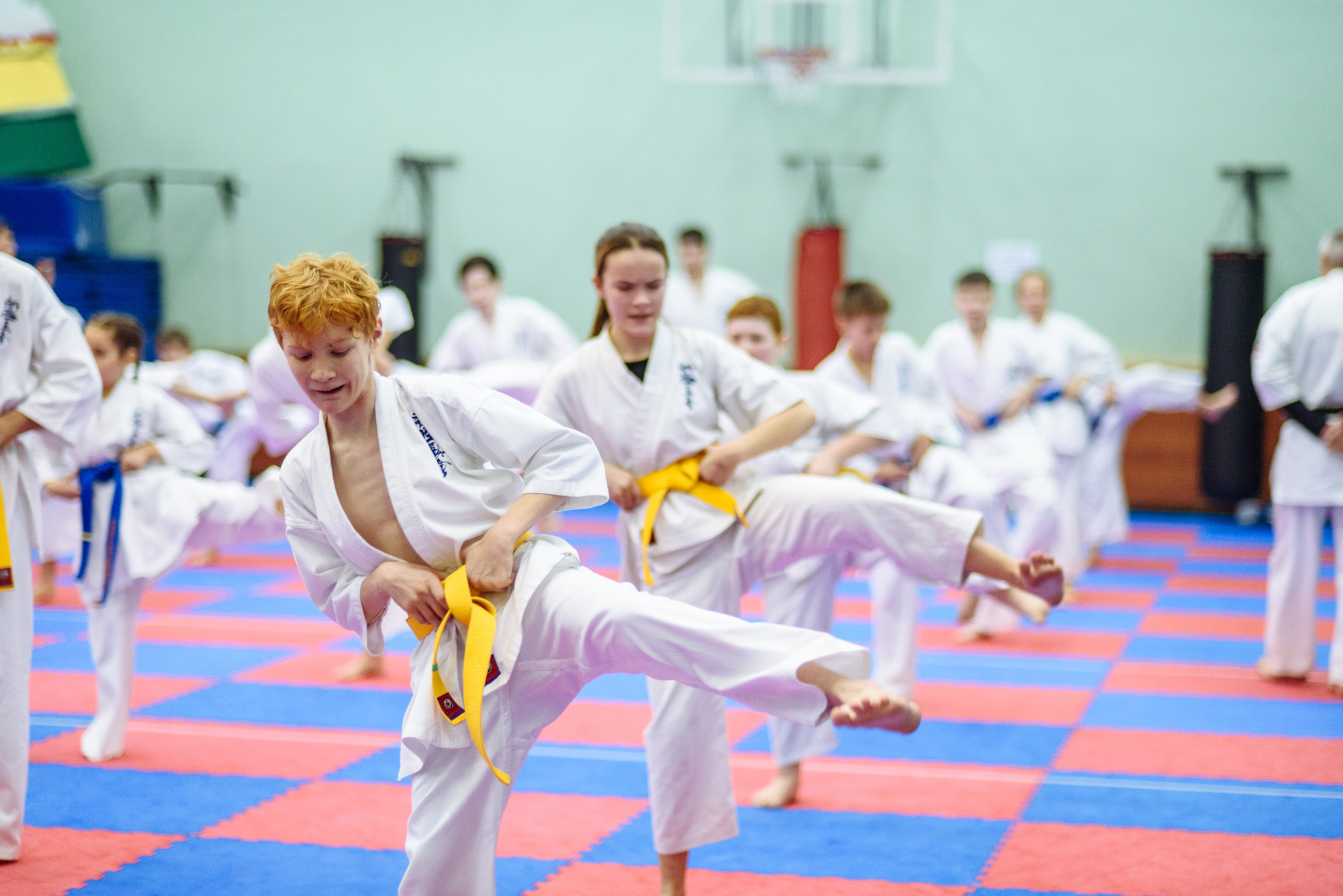 Кю тест спортивной школы каратэ. Свадебный и студийный фотограф в Москве Попов Вячеслав