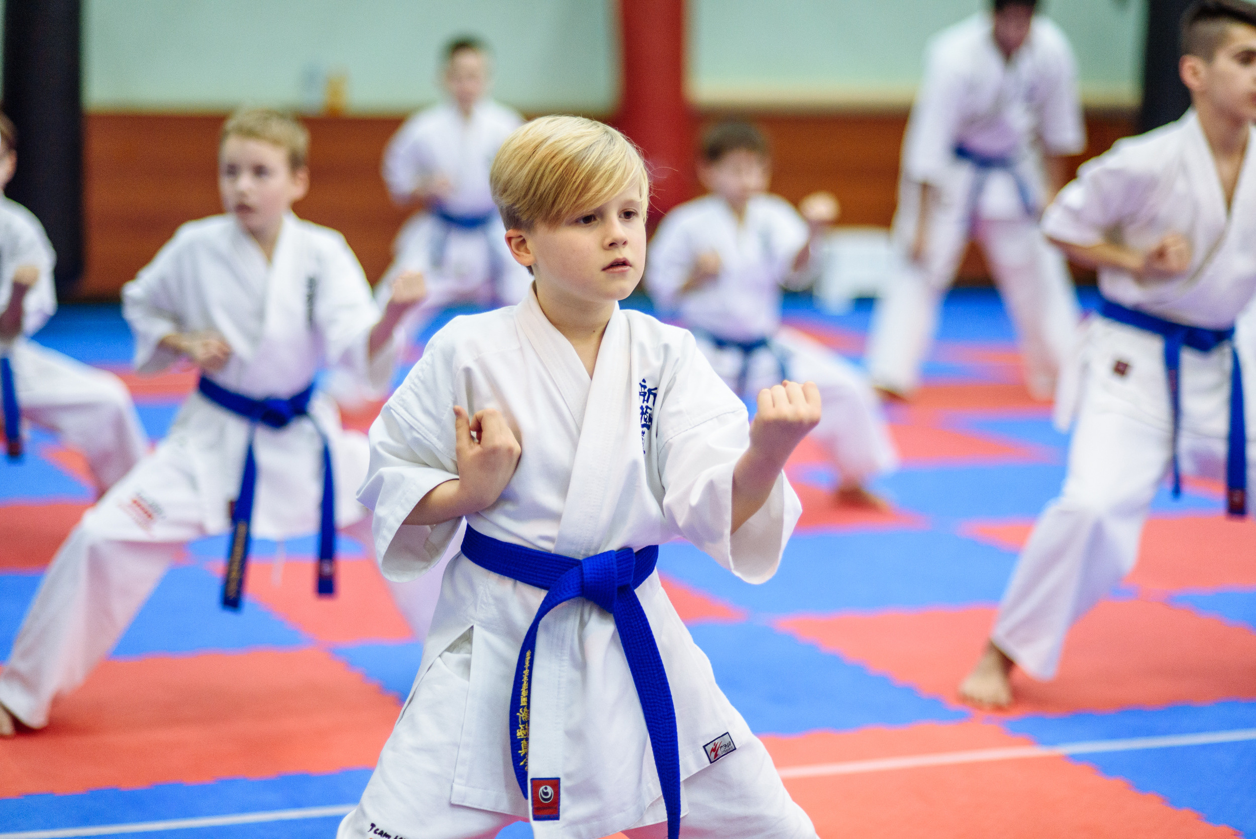 Кю тест спортивной школы каратэ. Свадебный и студийный фотограф в Москве Попов Вячеслав