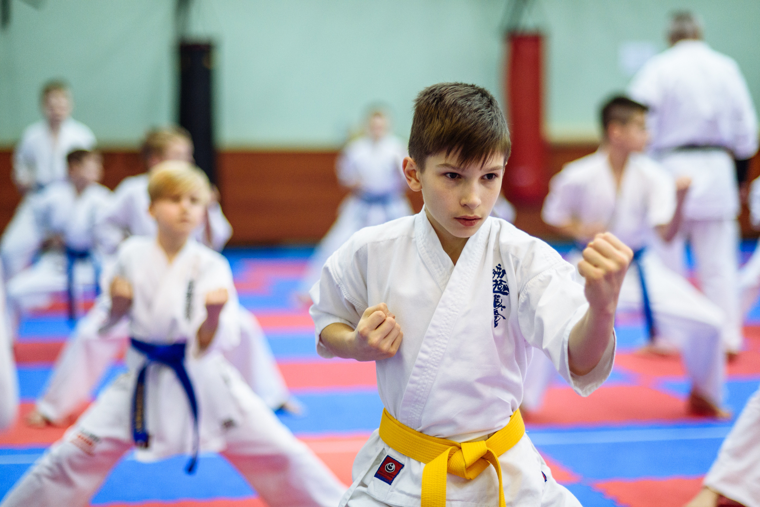 Кю тест спортивной школы каратэ. Свадебный и студийный фотограф в Москве Попов Вячеслав