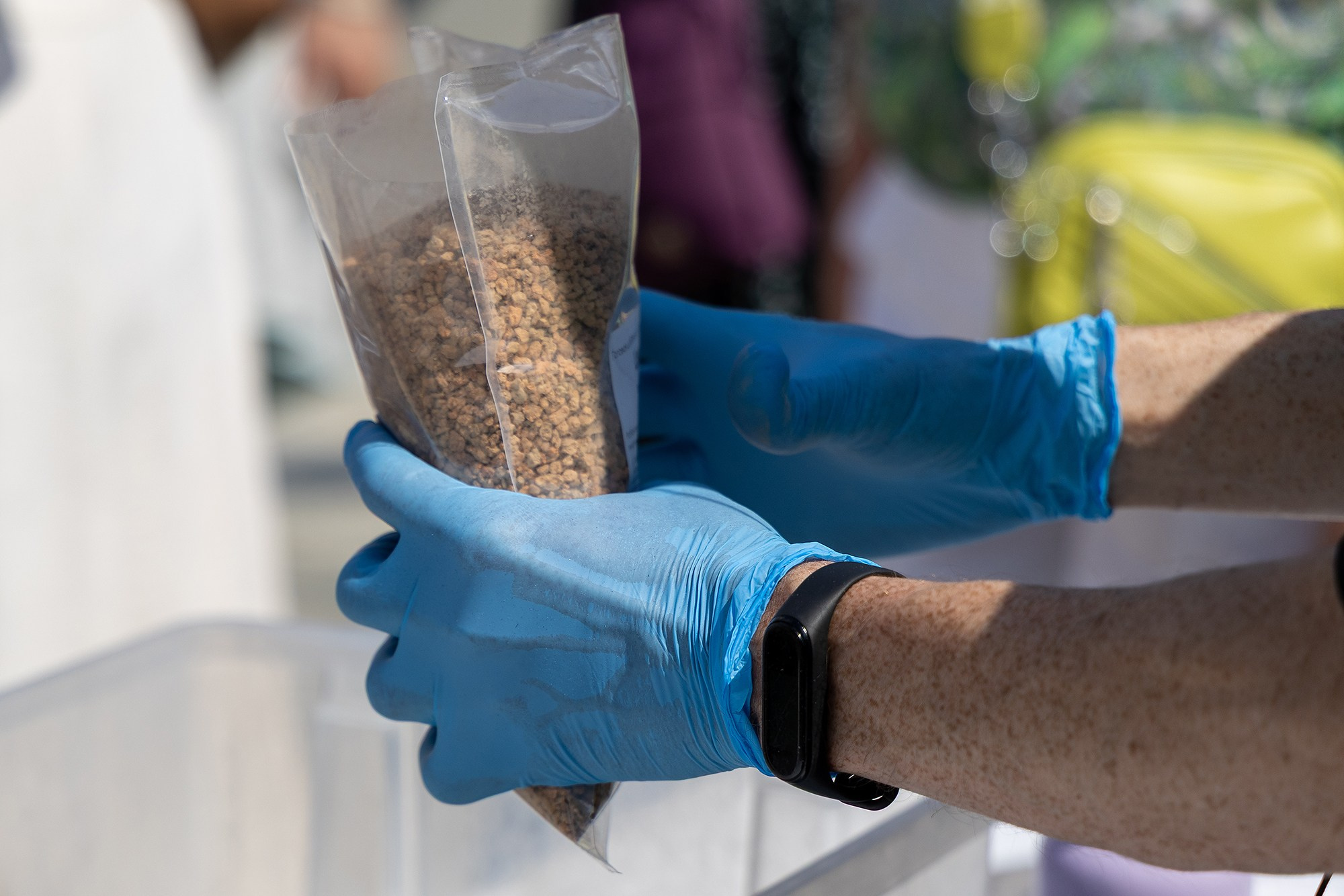 Сады Турчанинова. Семейный и репортажный фотограф Наташа Давыдова