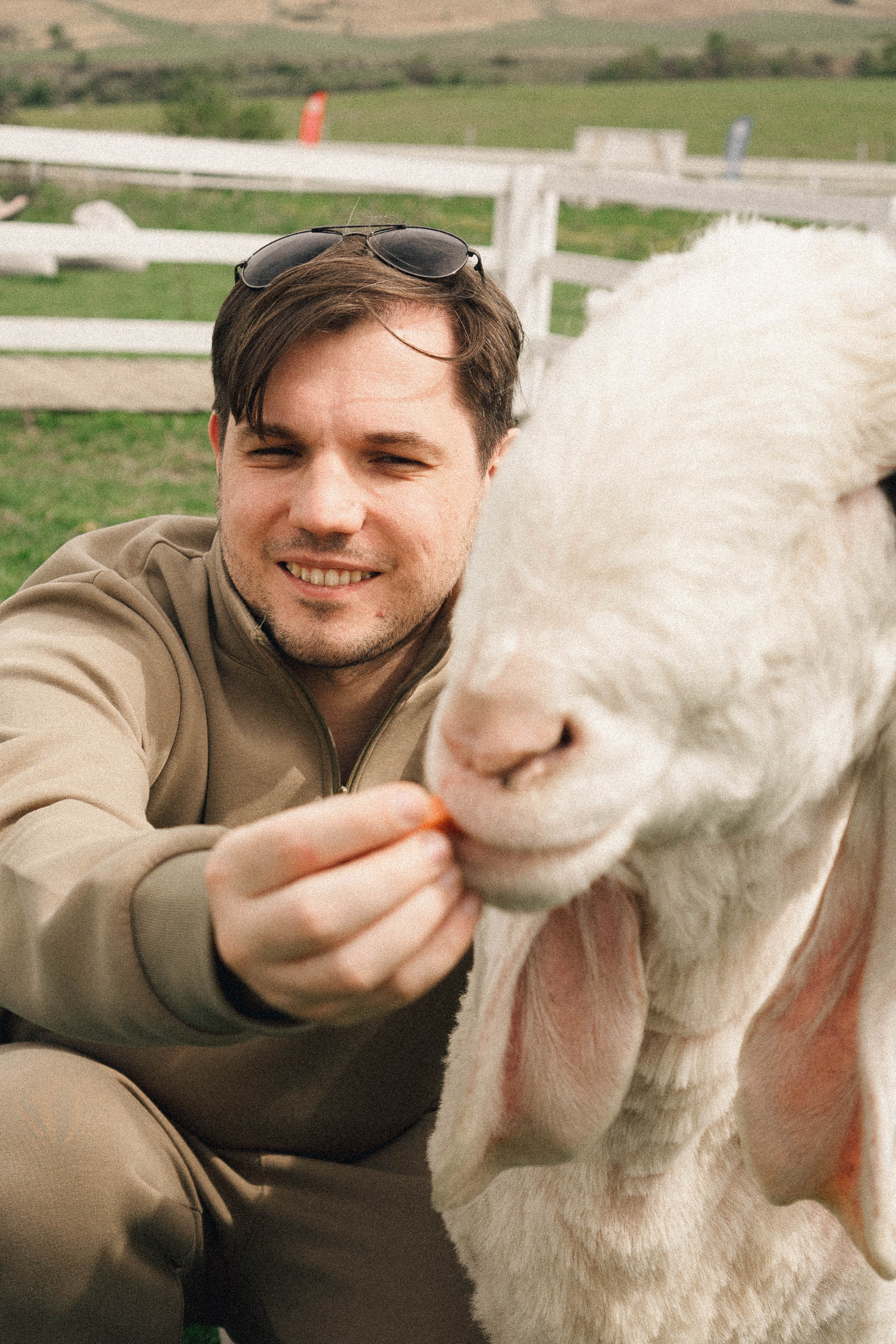 Ферма Альпак. Профессиональный фотограф, Санкт-Петербург — Виктория Богомолова