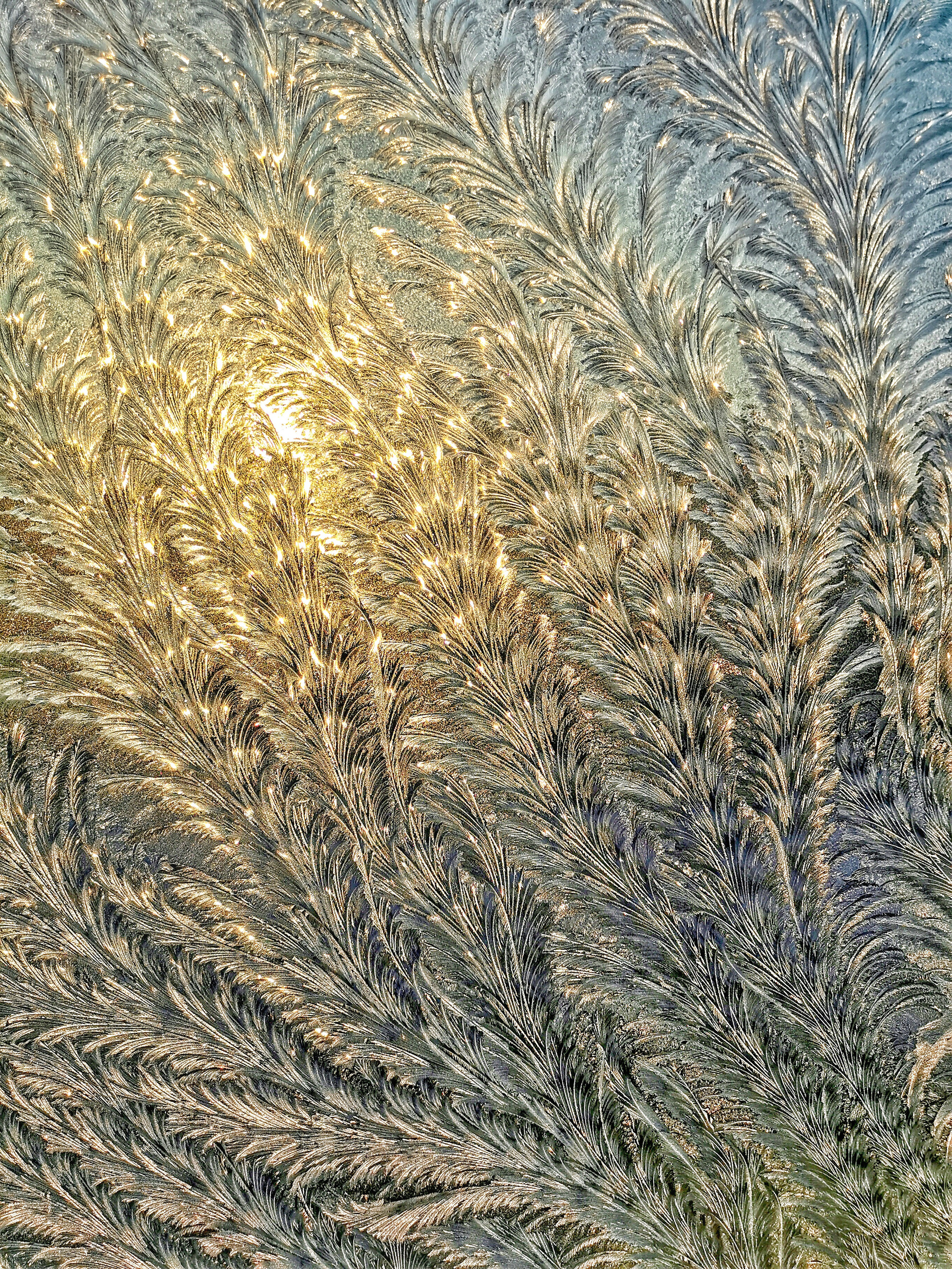 Мобильная фотография. Калужский городской фотоконкурс