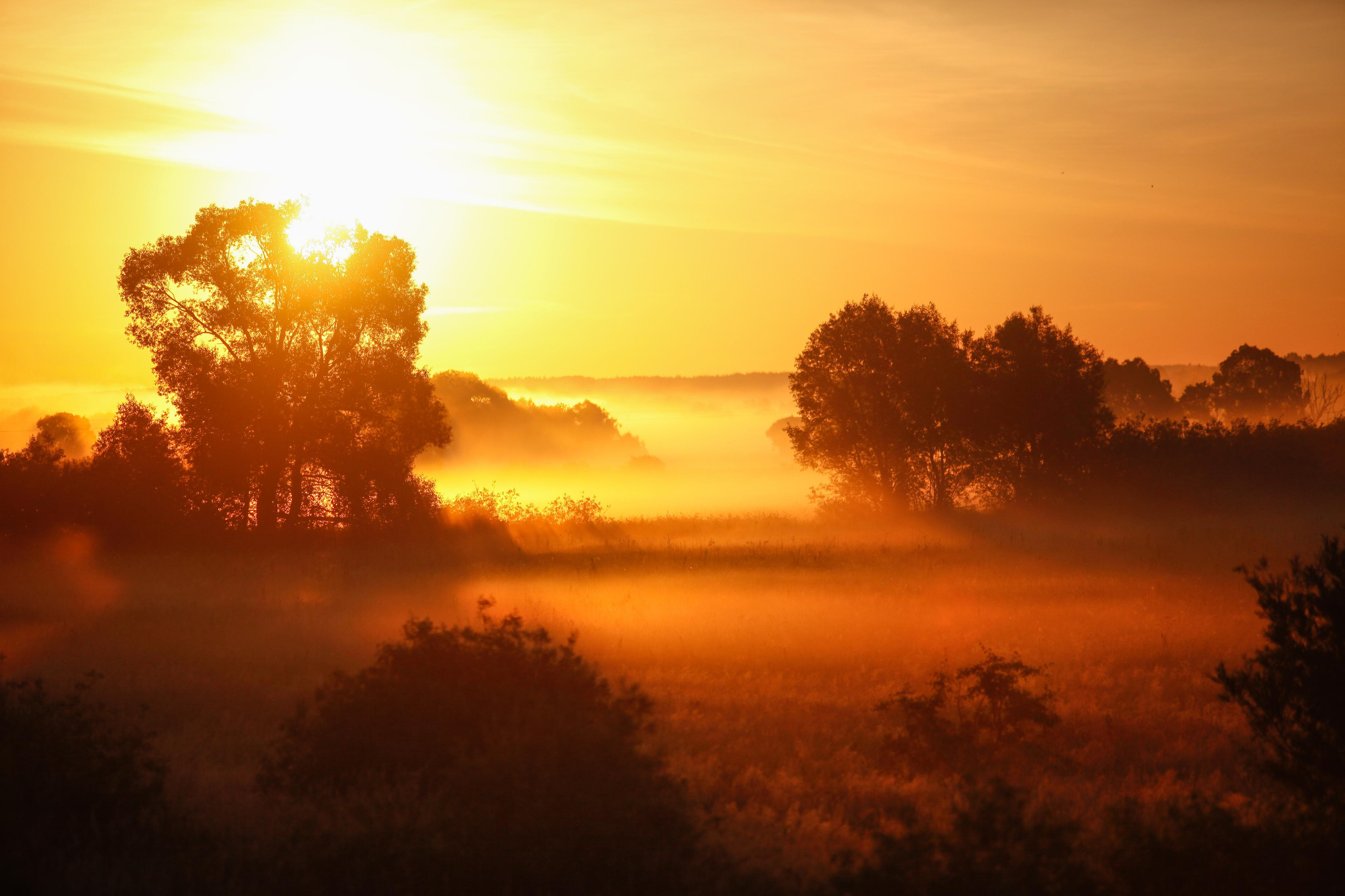 Пейзаж и архитектура г. Калуги. Калужский городской фотоконкурс