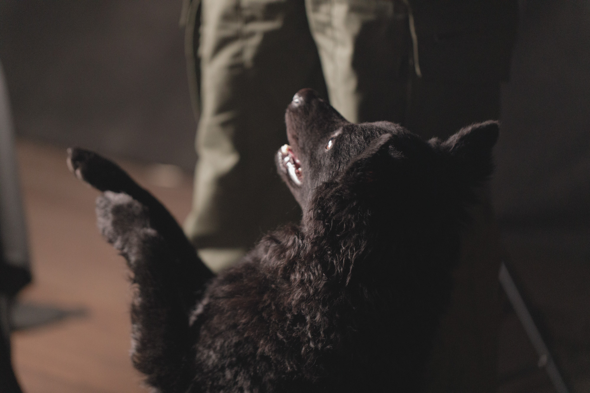 ФотоFest 2023 года. Калужский городской фотоконкурс