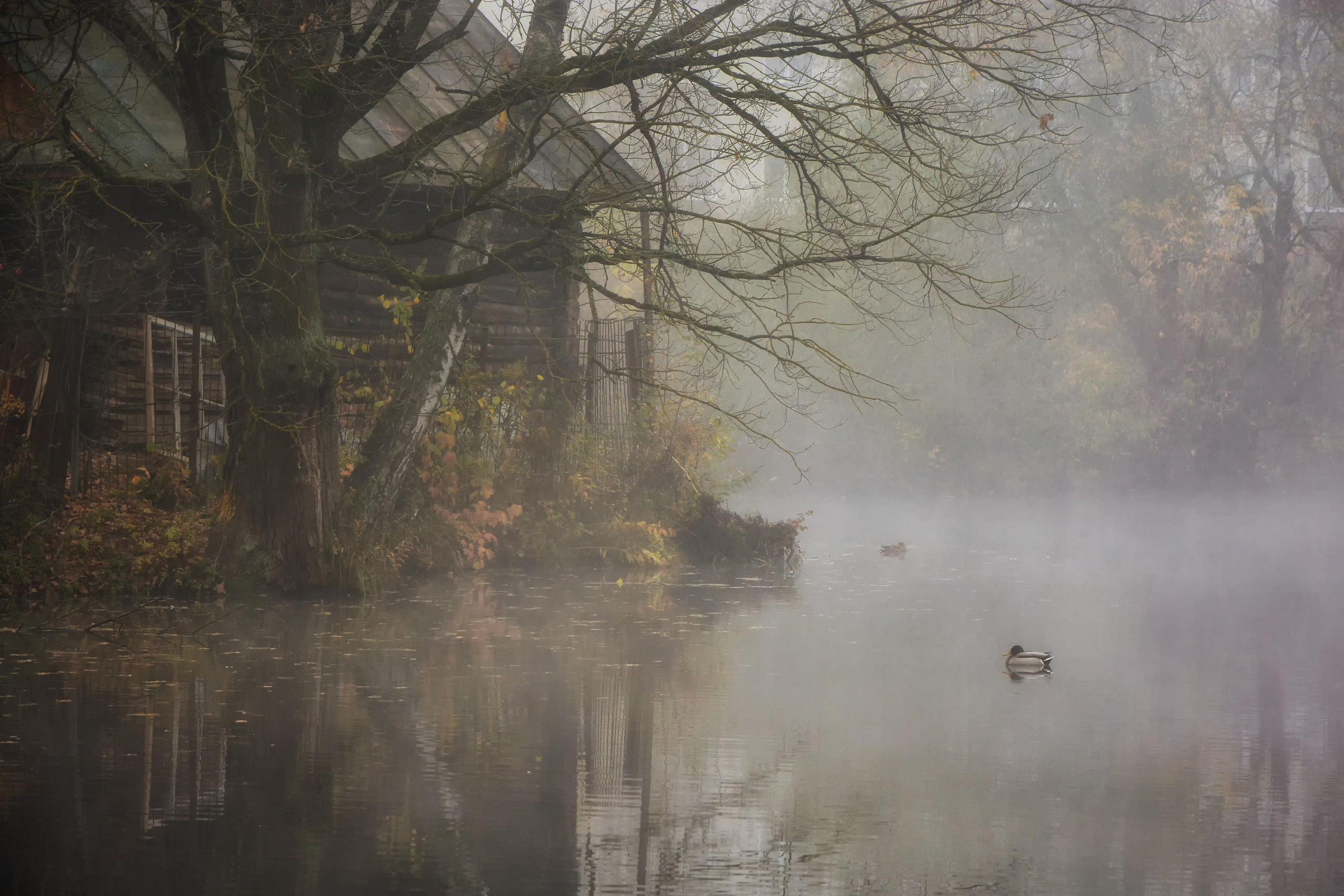Пейзаж и архитектура г. Калуги. Калужский городской фотоконкурс