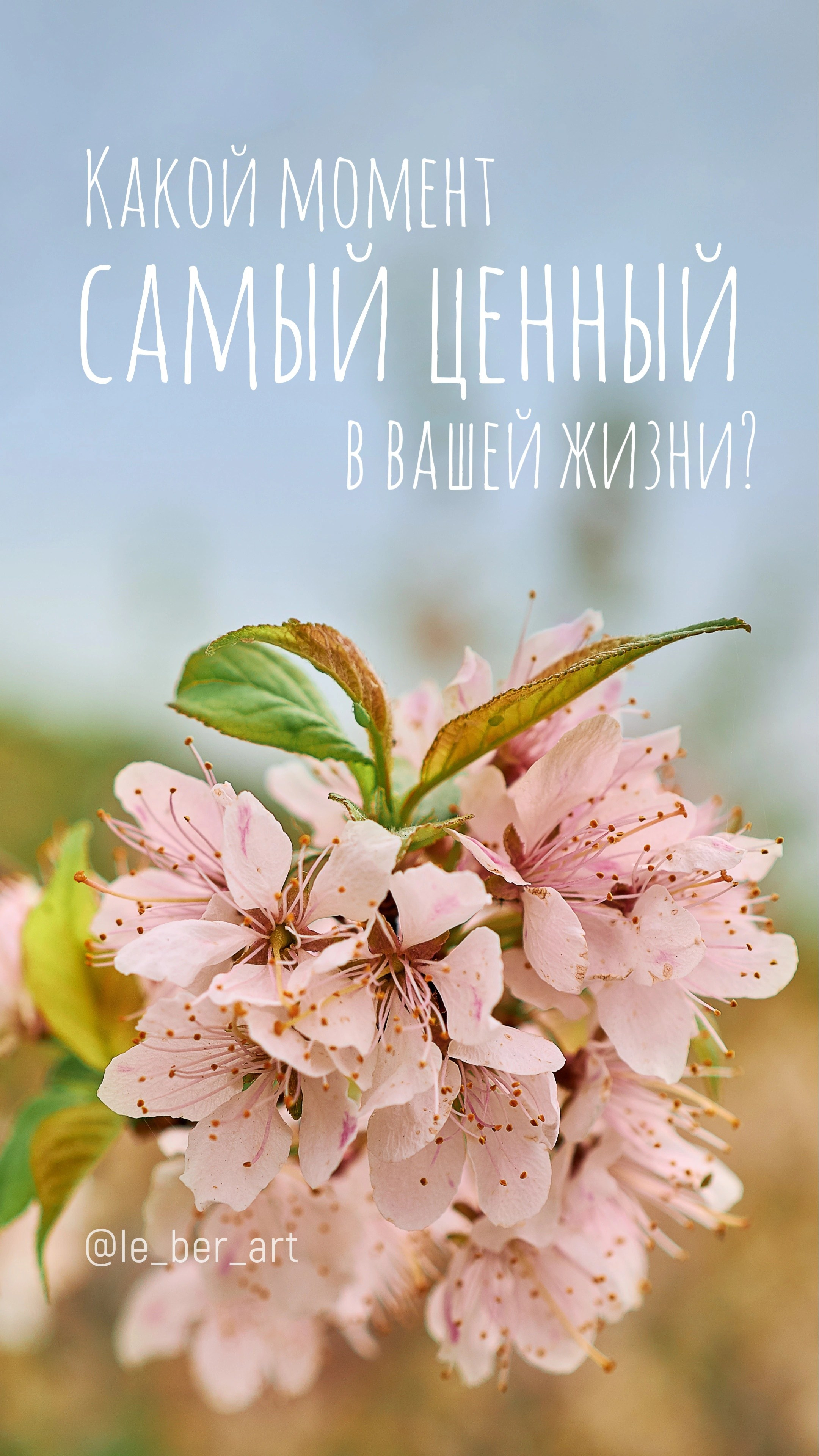 Заставки на телефон. Елена Берсенева, фотограф