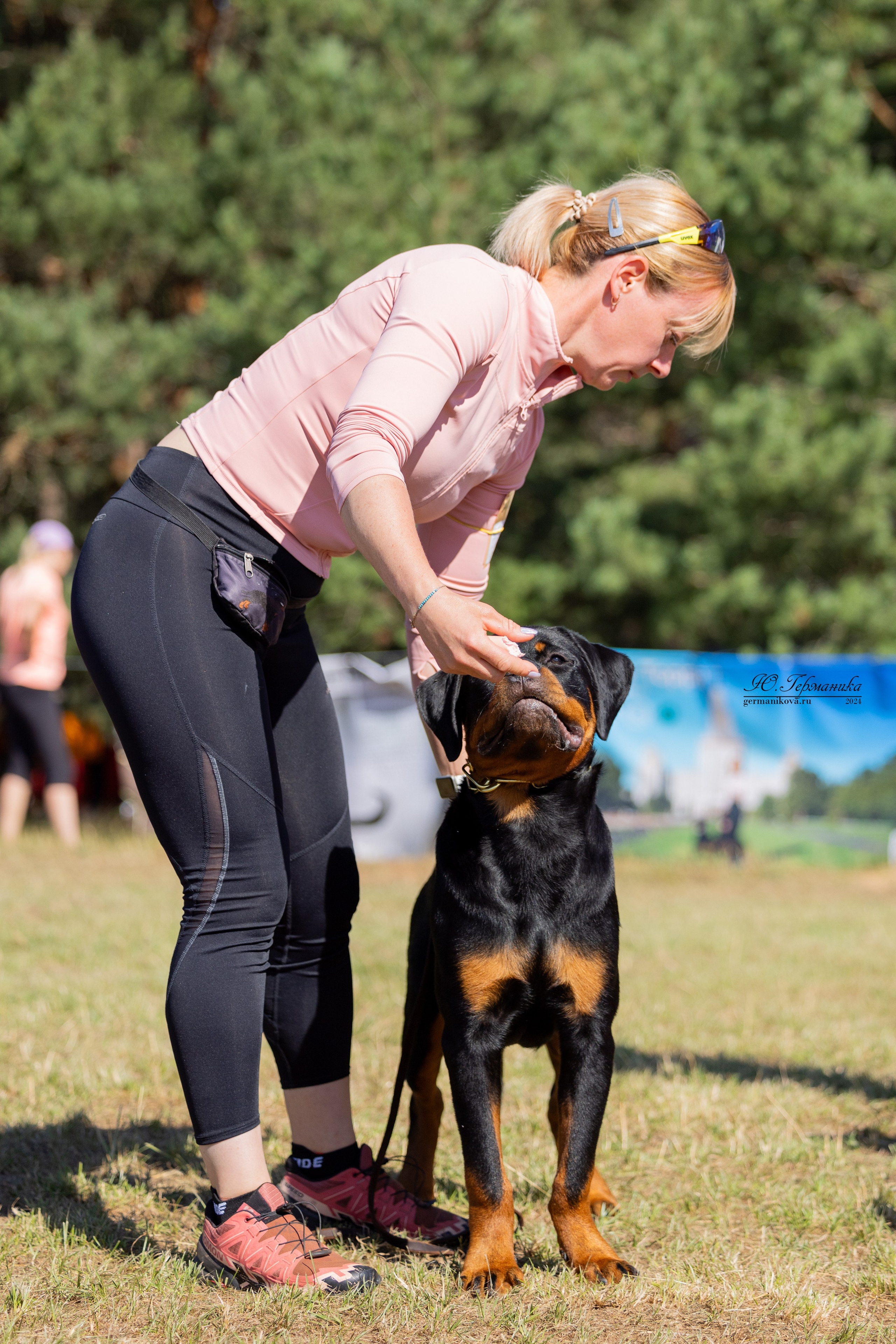 ПК и КЧК ротвейлеры Тверь 6-7.07.2024. Фотограф-анималист Юлия Германика