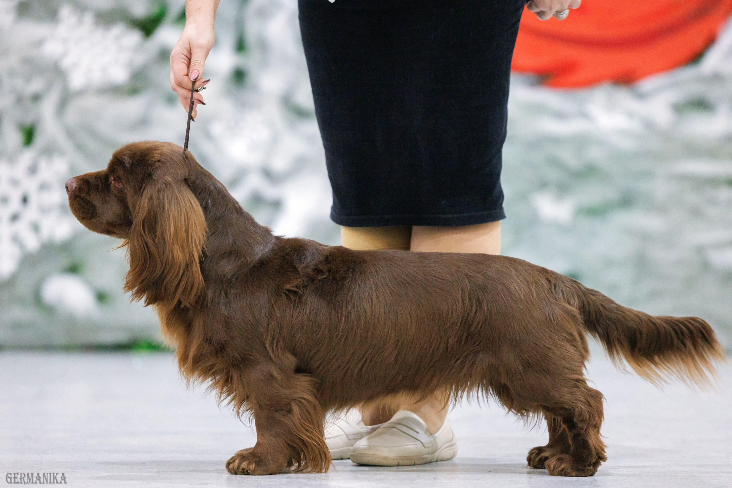 Крокус 10.02,Сфера 11.02.2024. Фотограф-анималист Юлия Германика