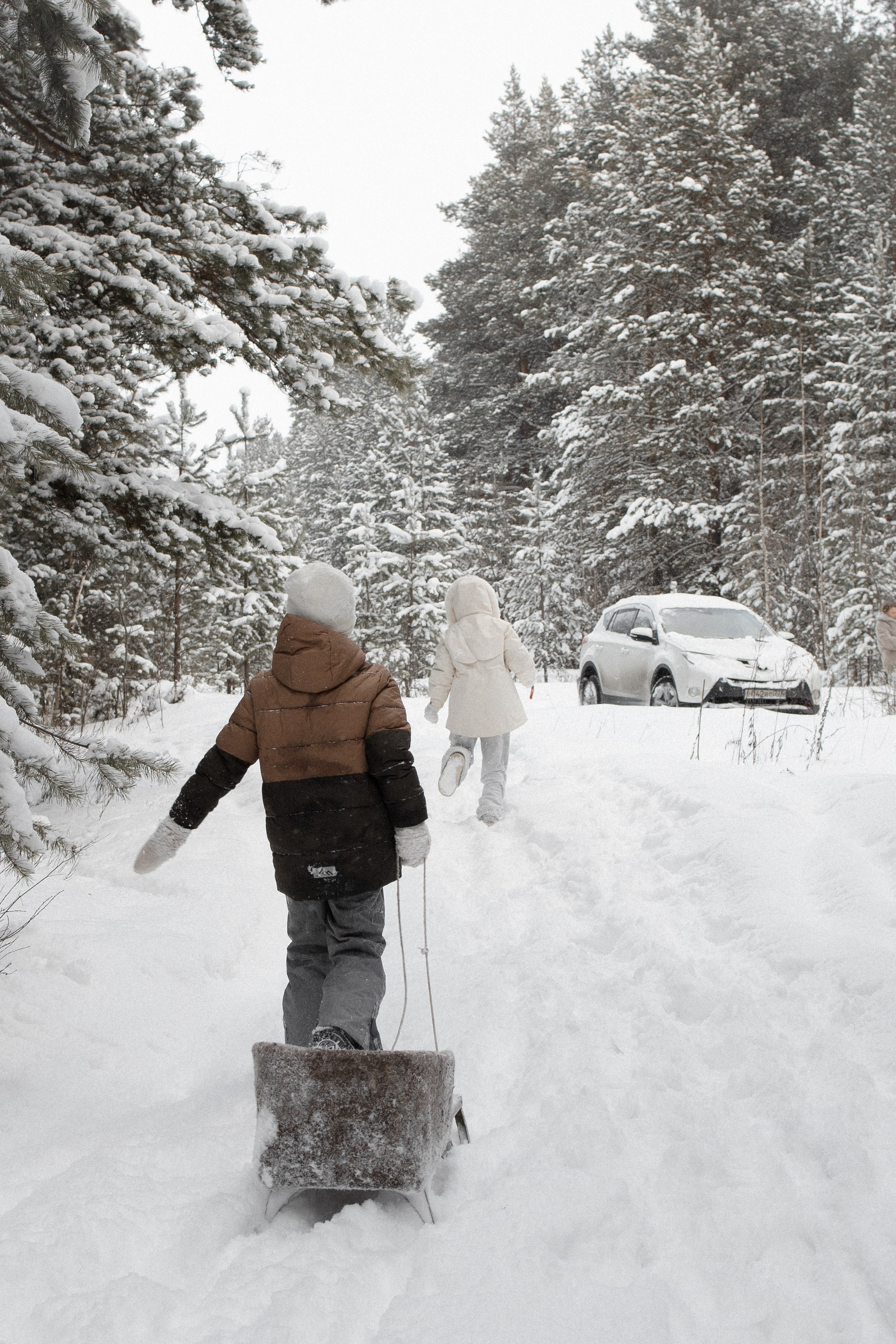 Семья Куркиных | 2026