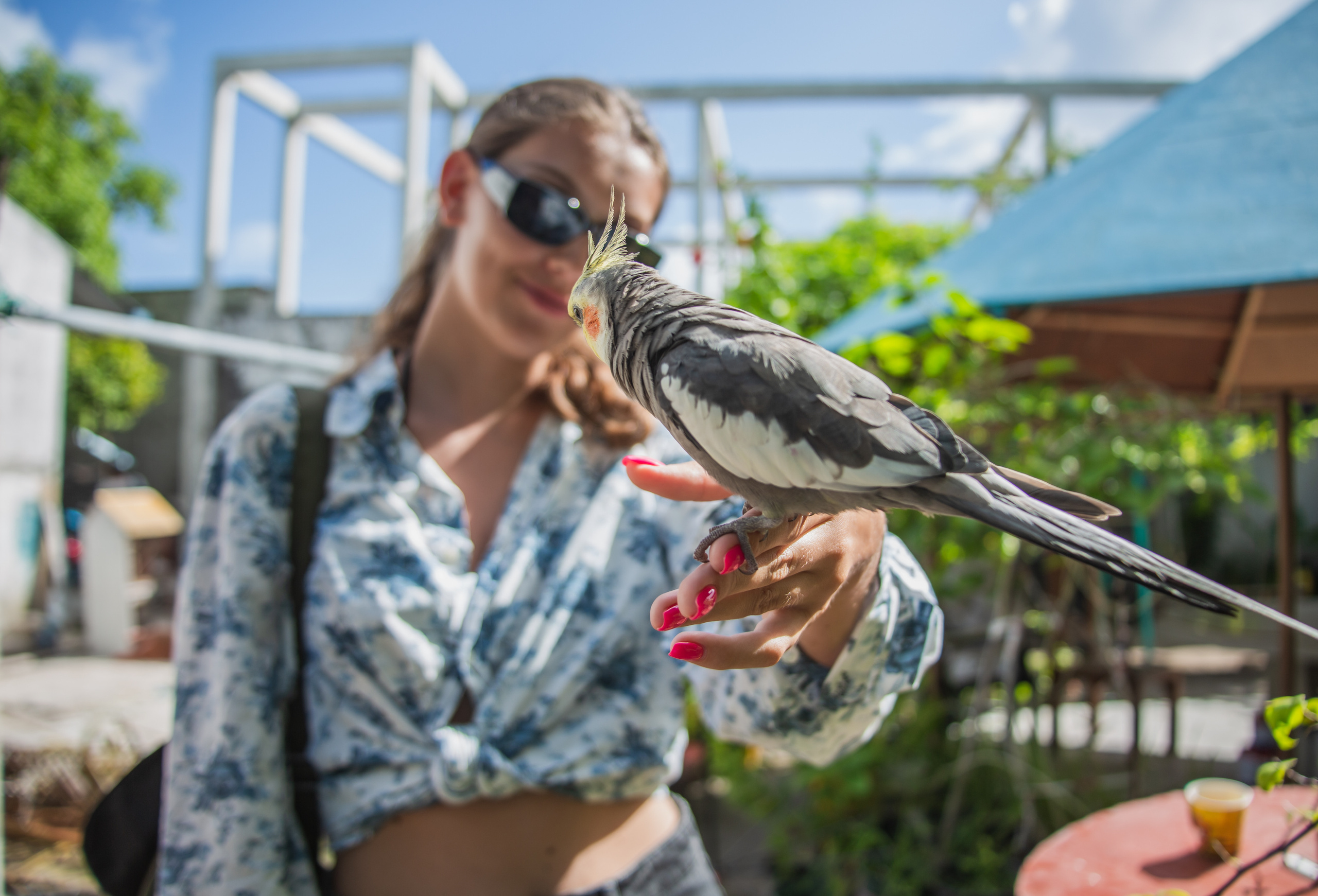 Репортаж из туров. Фотограф на Мальдивах