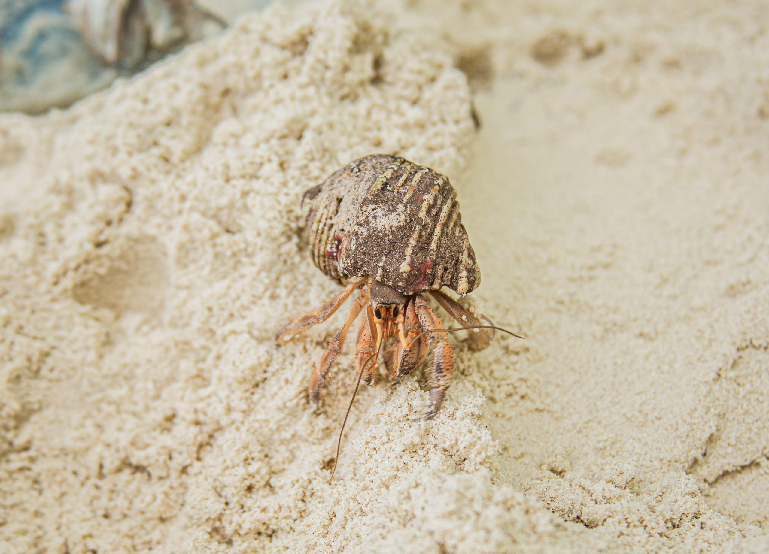 Репортаж из туров. Фотограф на Мальдивах