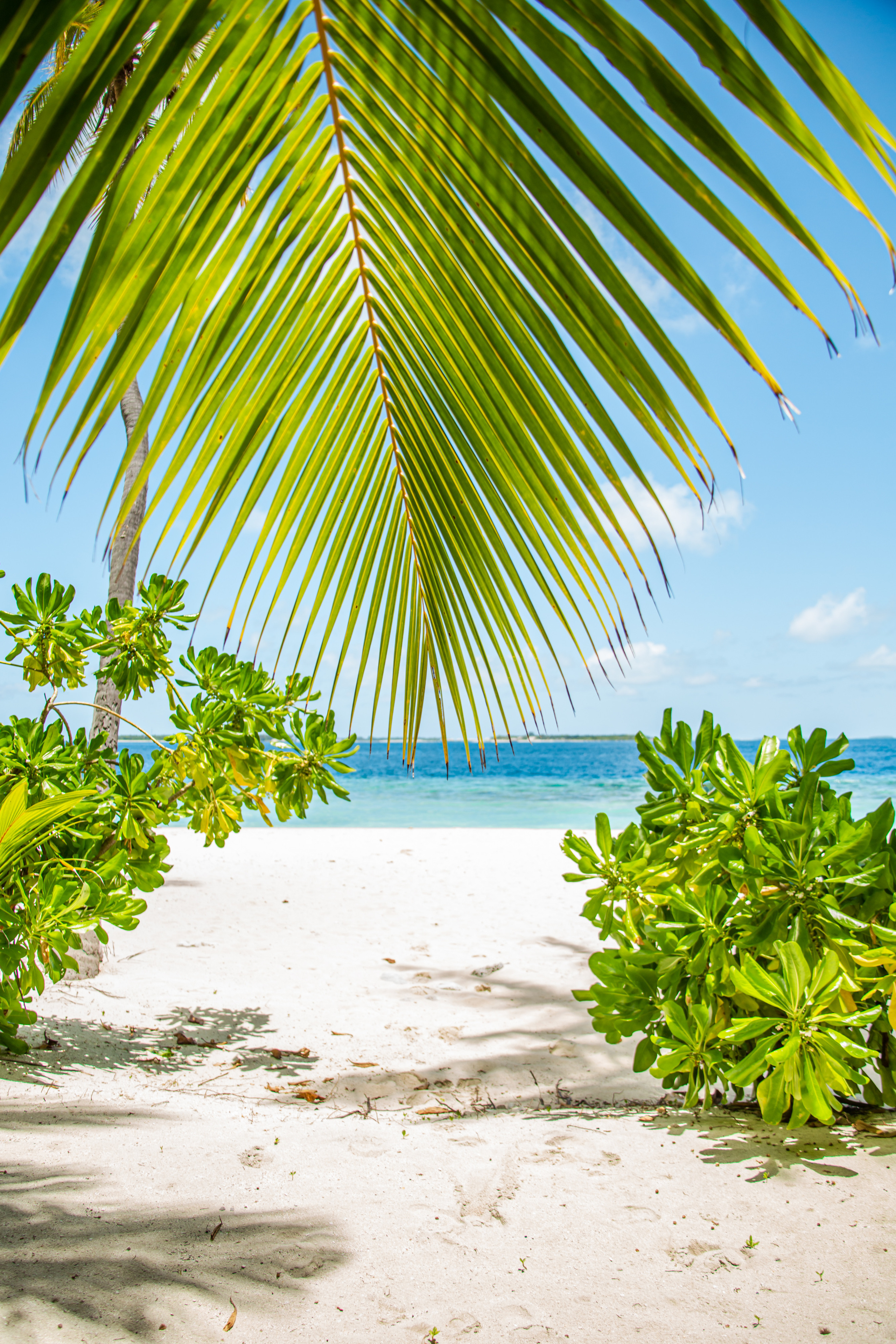 Репортаж из туров. Фотограф на Мальдивах