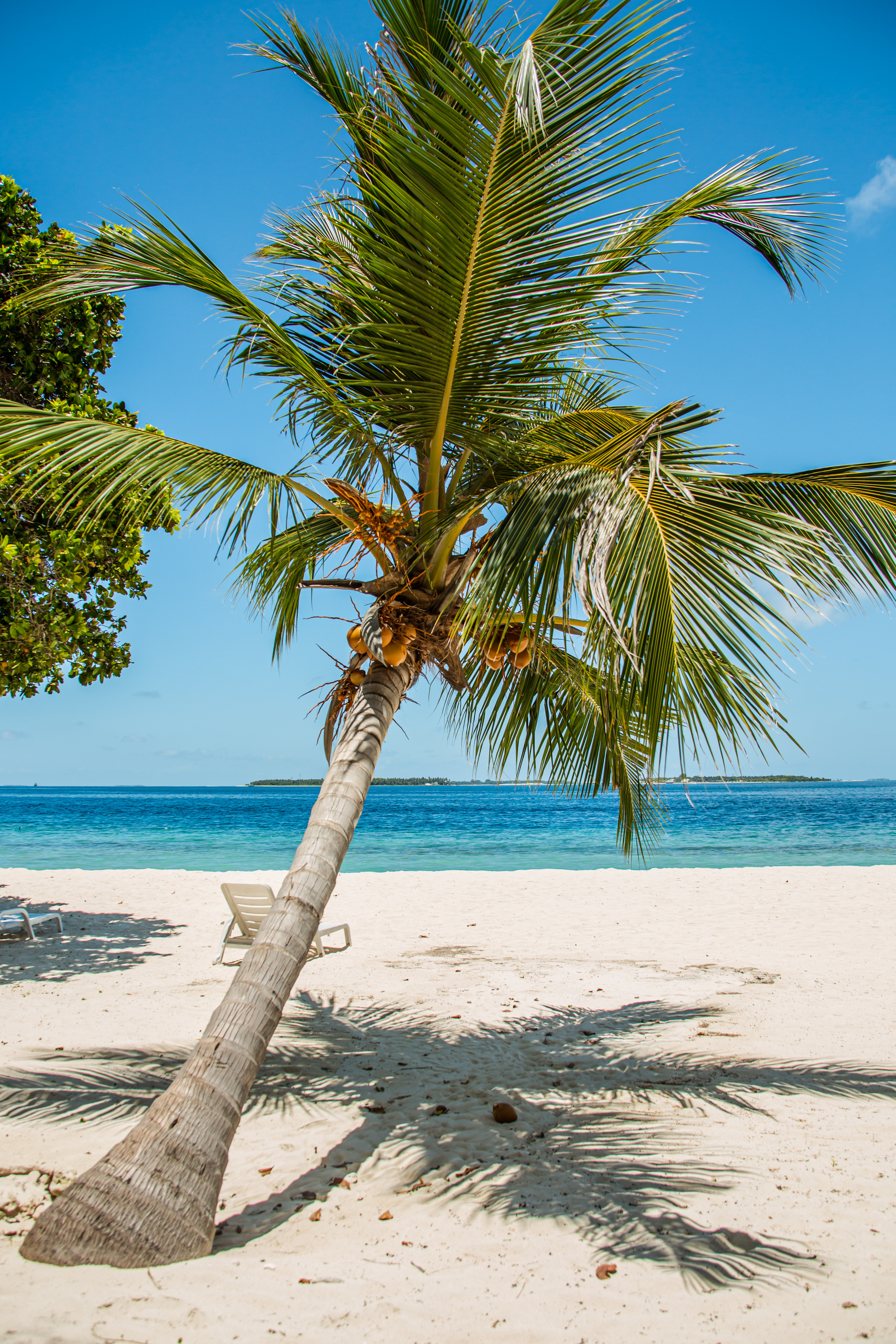 Репортаж из туров. Фотограф на Мальдивах
