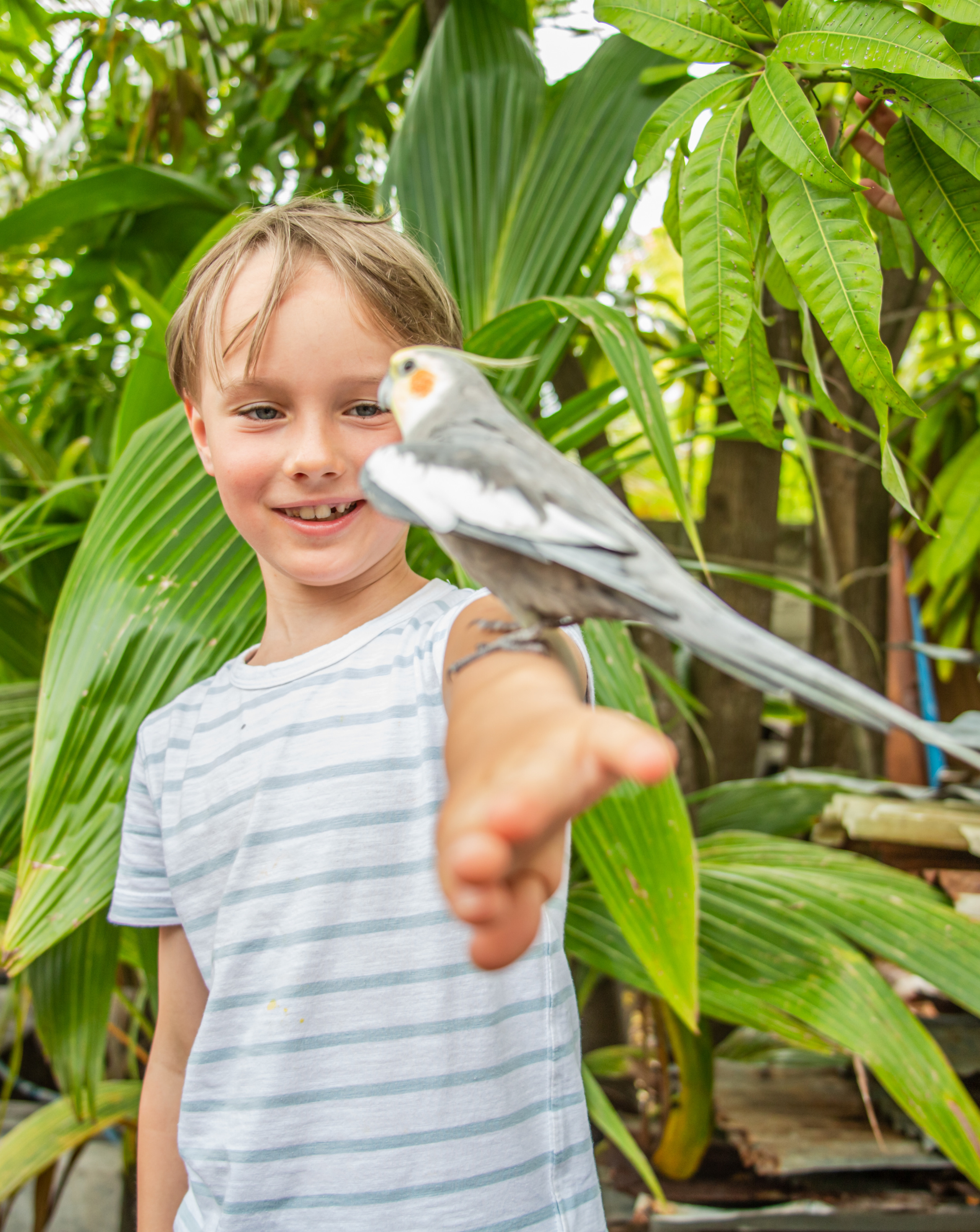 Репортаж из туров. Фотограф на Мальдивах