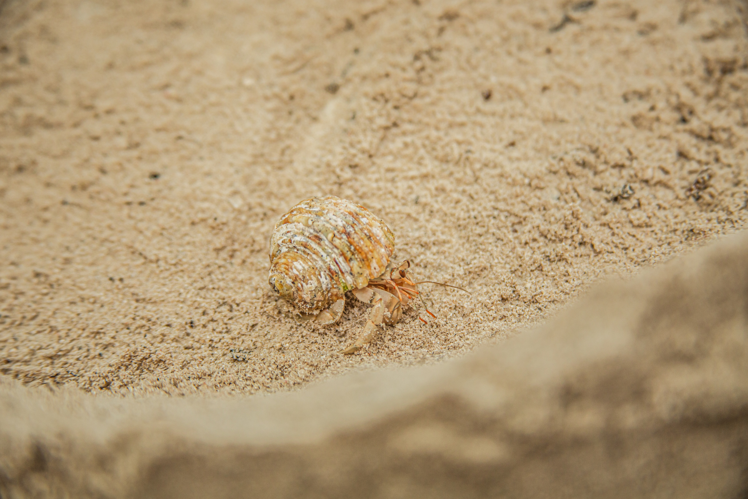 Репортаж из туров. Фотограф на Мальдивах