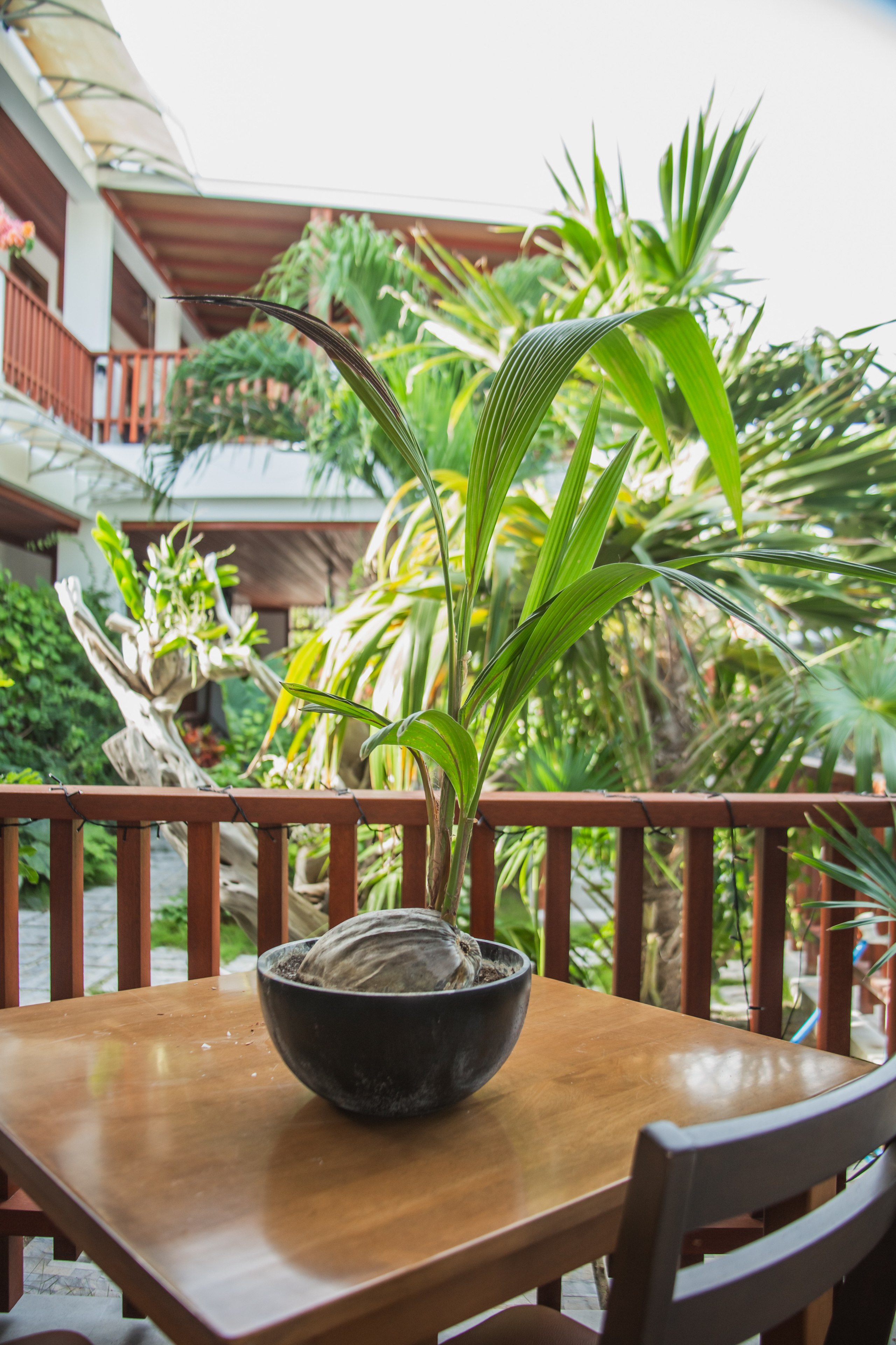 Репортаж из туров. Фотограф на Мальдивах