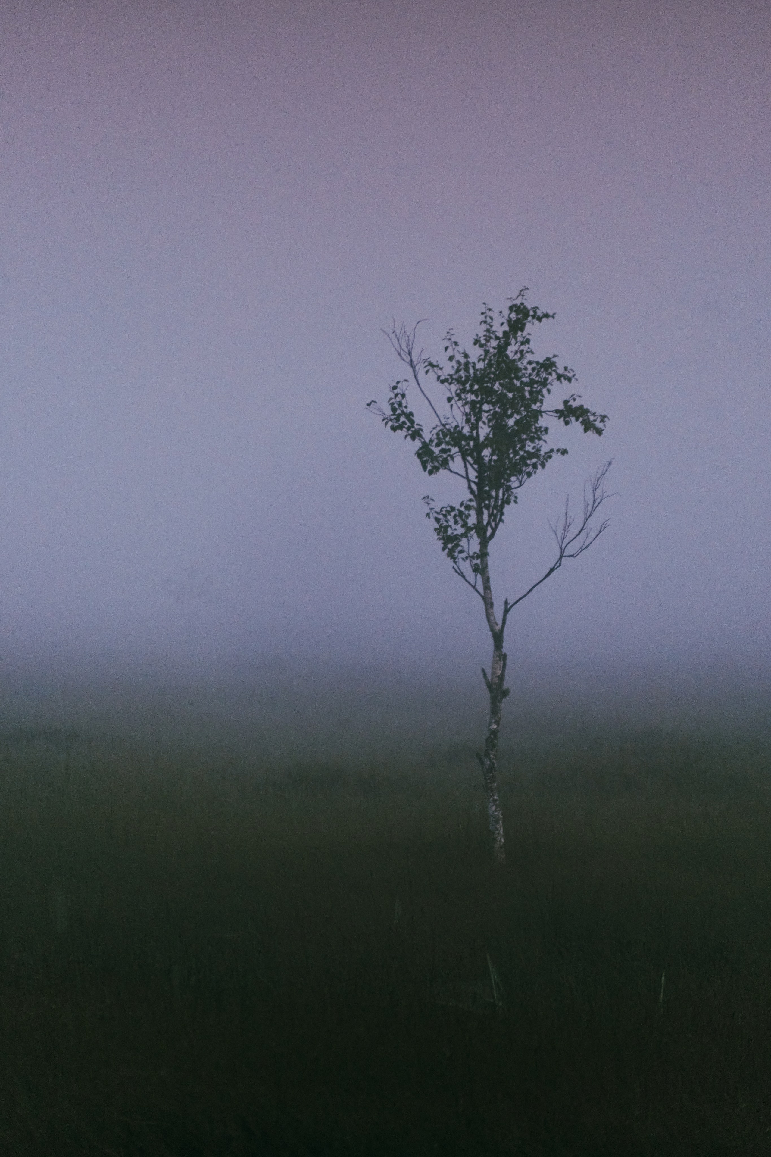 Северные дневники. Алиса Северная. Визуальные исследования. Пейзажная и документальная фотография