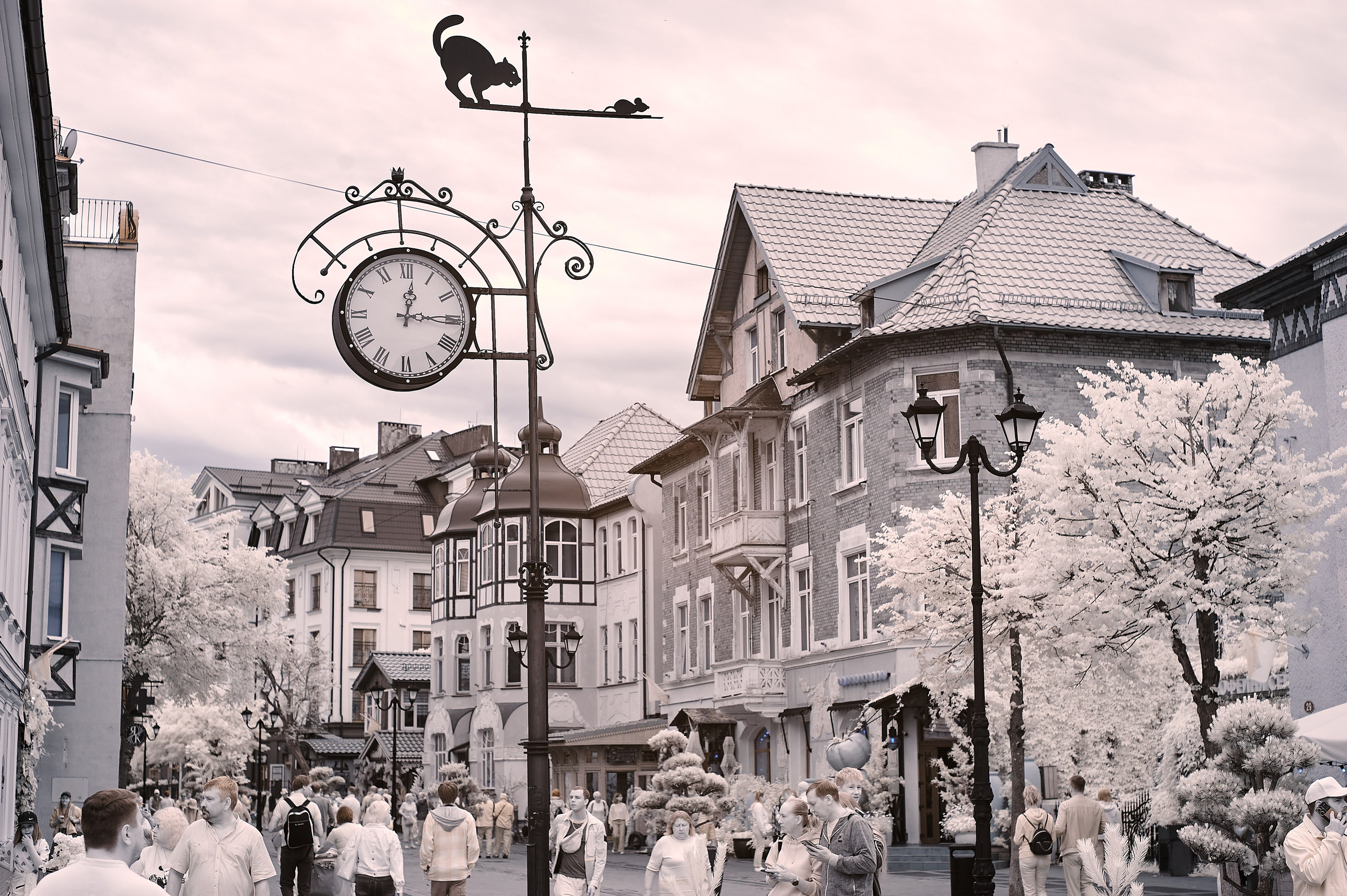 Infrared Photography. Solofilms