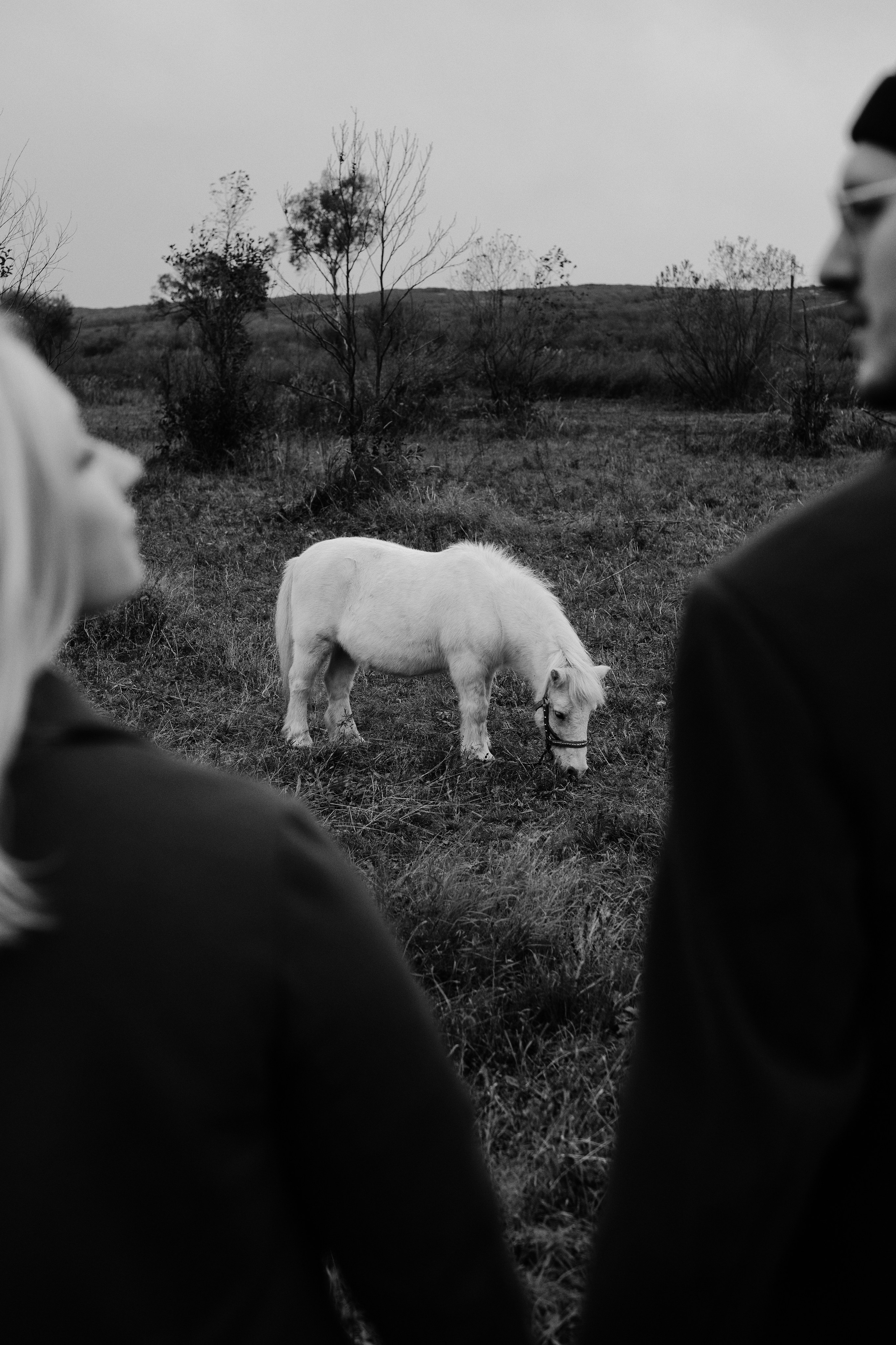 Фотограф Владивосток Оля КРОКС