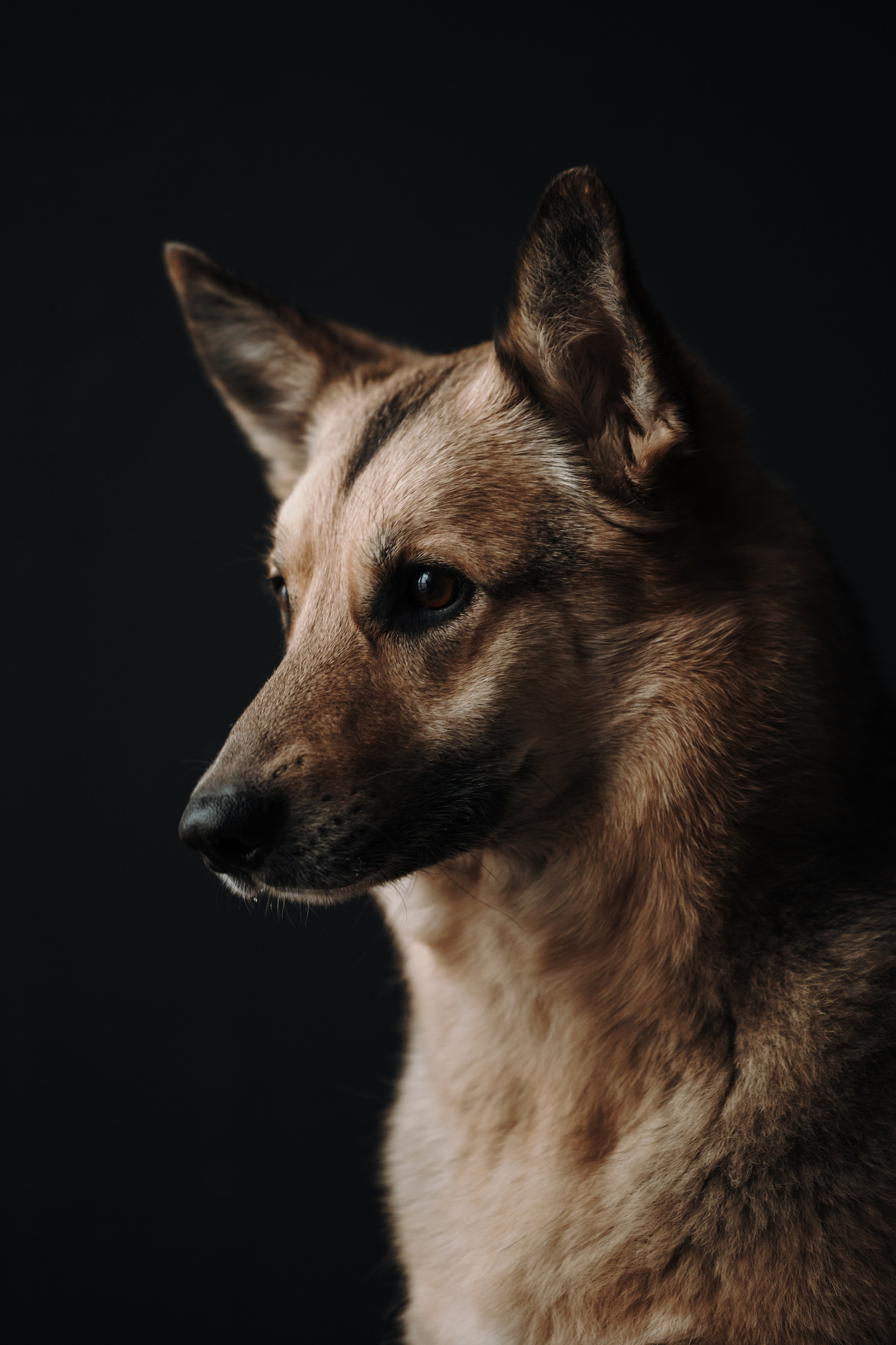 Лена и Дёма. Фотограф — Анималист | Санкт-Петербург