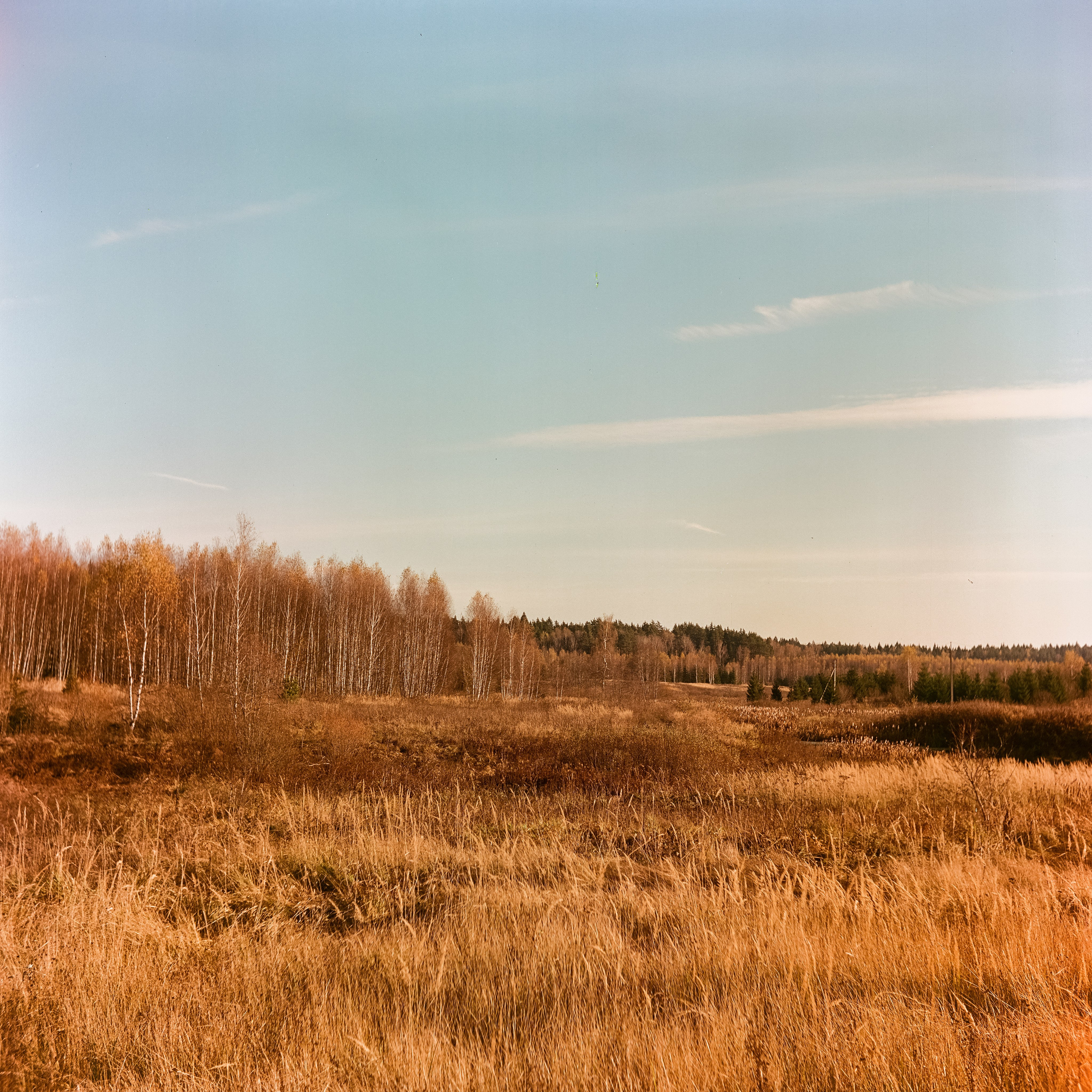 Белоконь Алексей. Фотография на пленку. Семья и путешествия