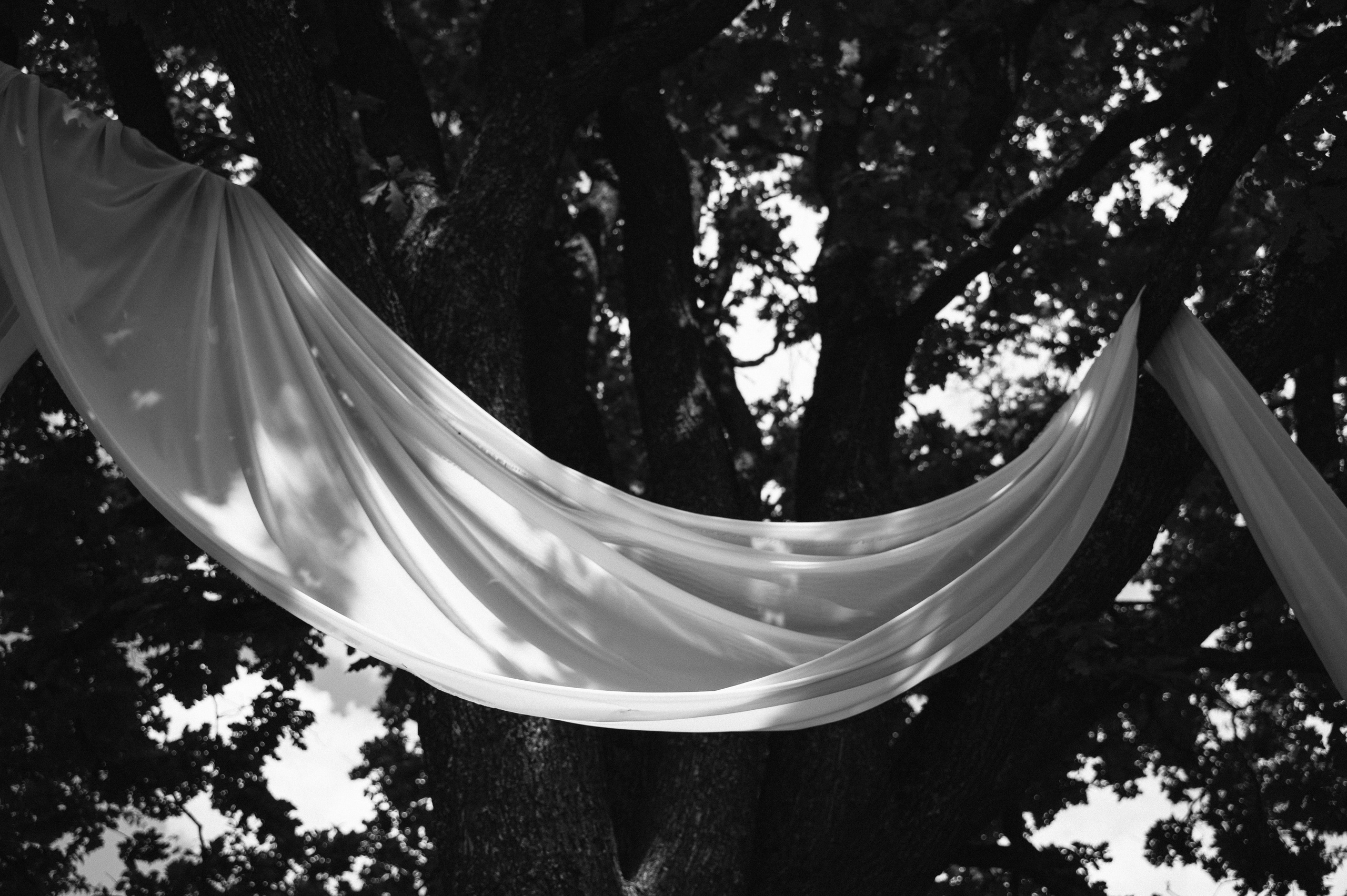 O&M. Свадебный фотограф Минск