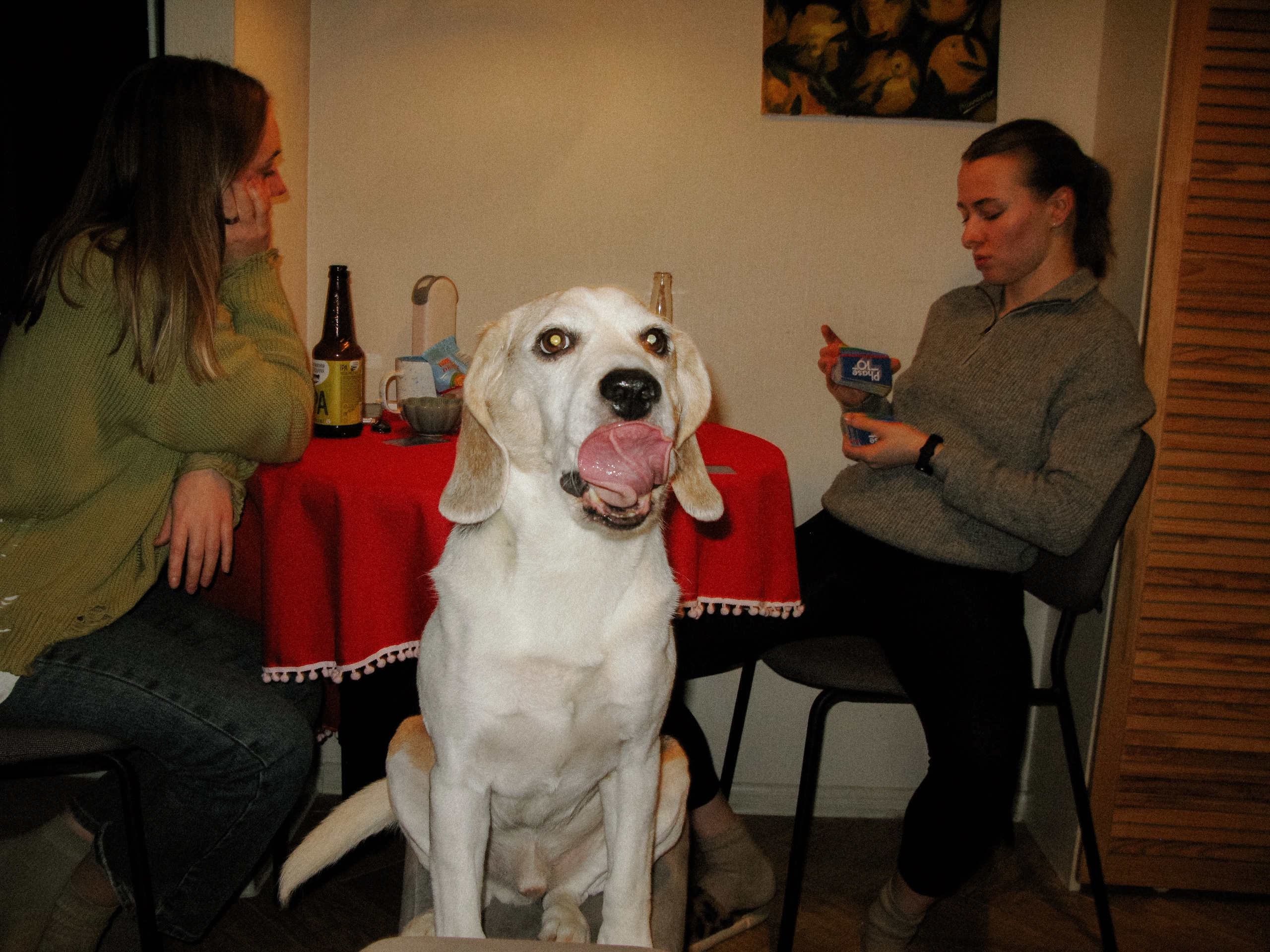 Feb. Фотограф Миланазавр