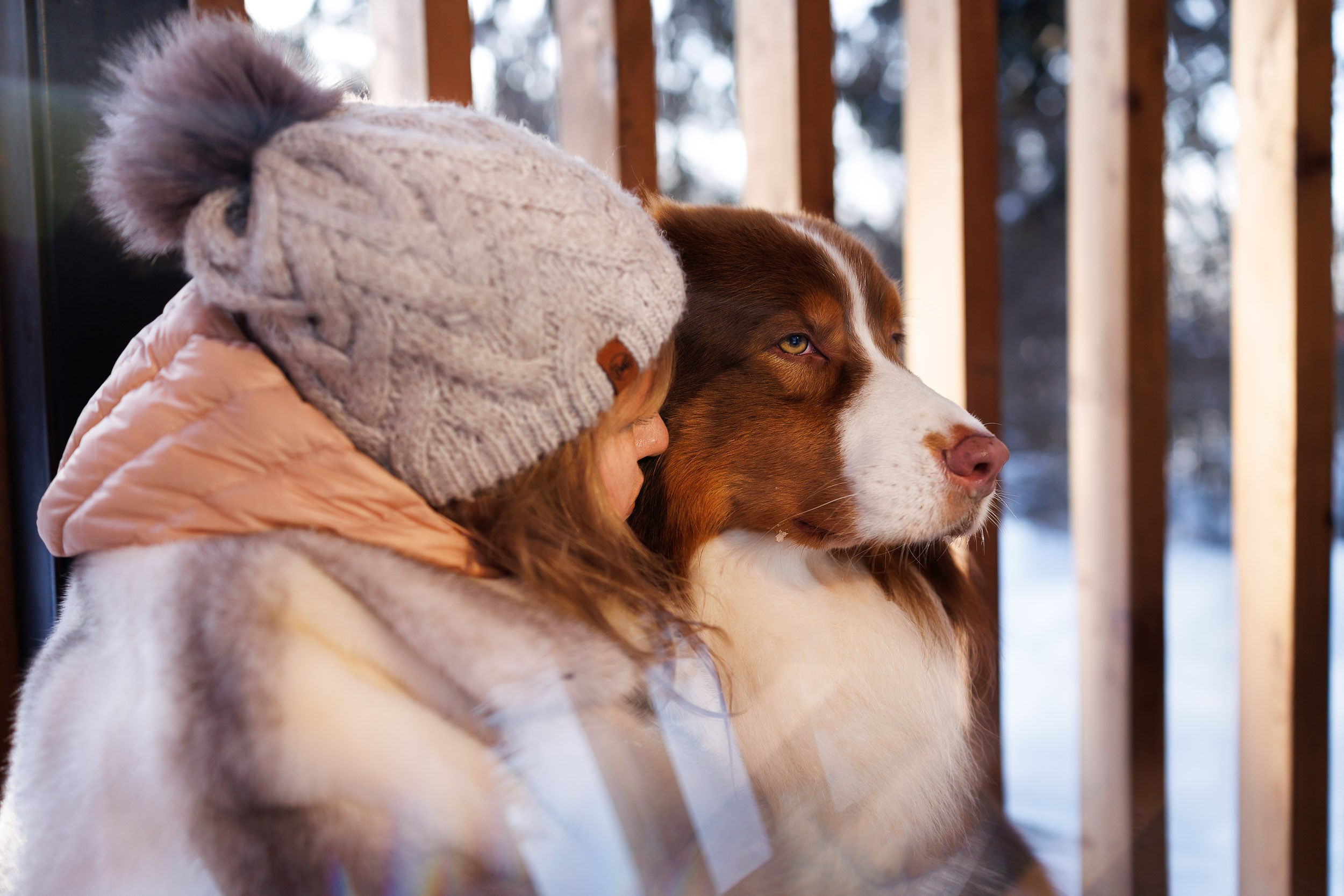 Марик и Дэн. Фотограф-анималист в Москве и Московской области Татьяна Фролова