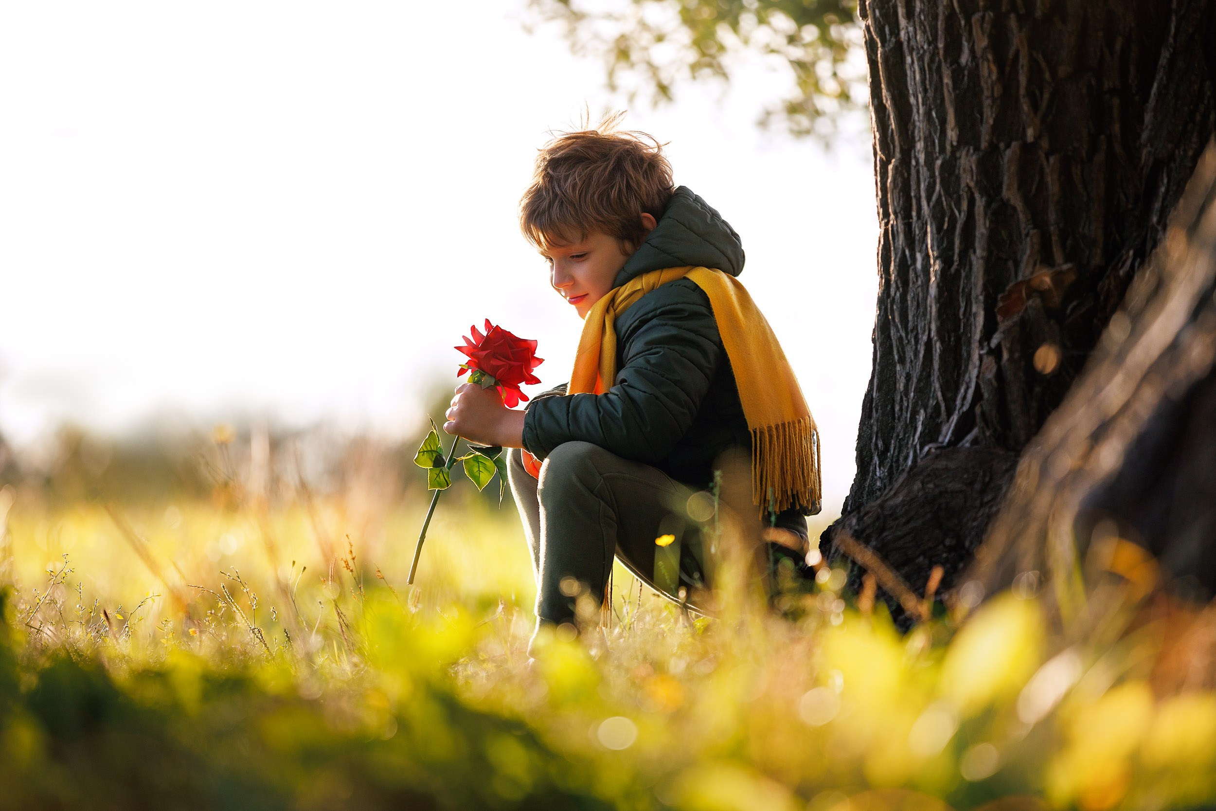 Фотосессия Маленький Принц. Фотограф-анималист в Москве и Московской области Татьяна Фролова
