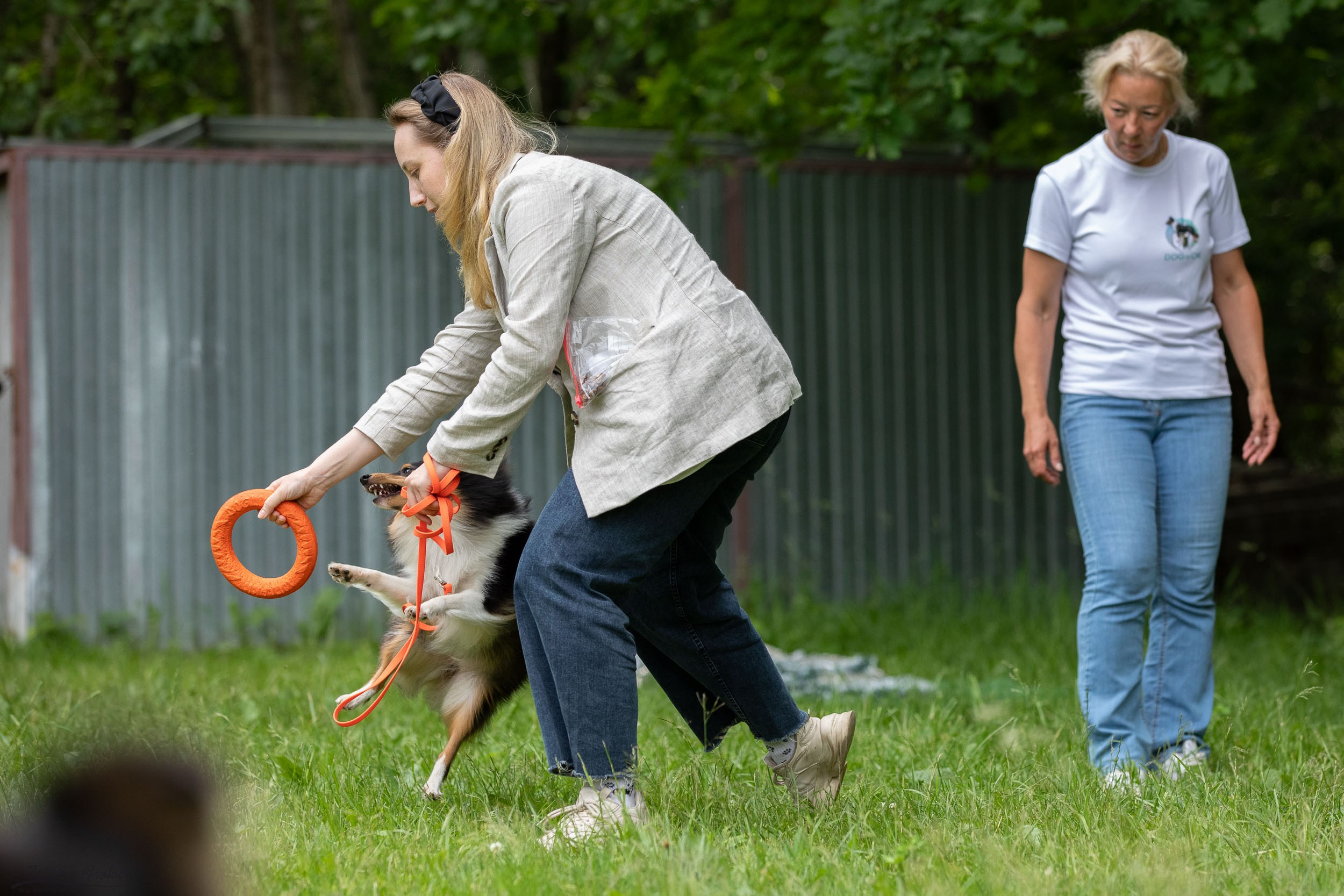 Репортаж с выводки молодняка колли/шелти в Ясенево. Фотограф-анималист в Москве и Московской области Татьяна Фролова