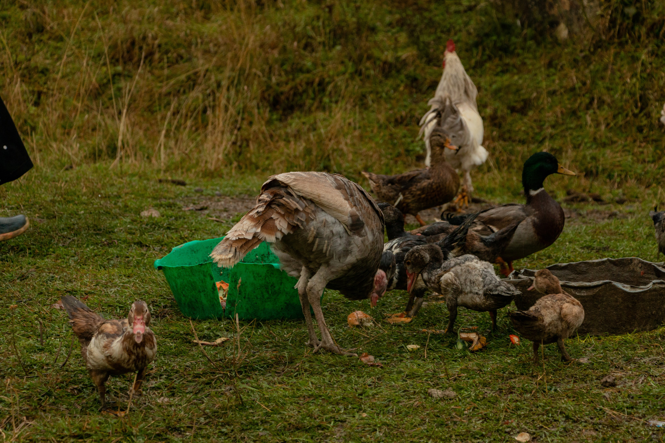 Дагестан. Фотограф в Сочи