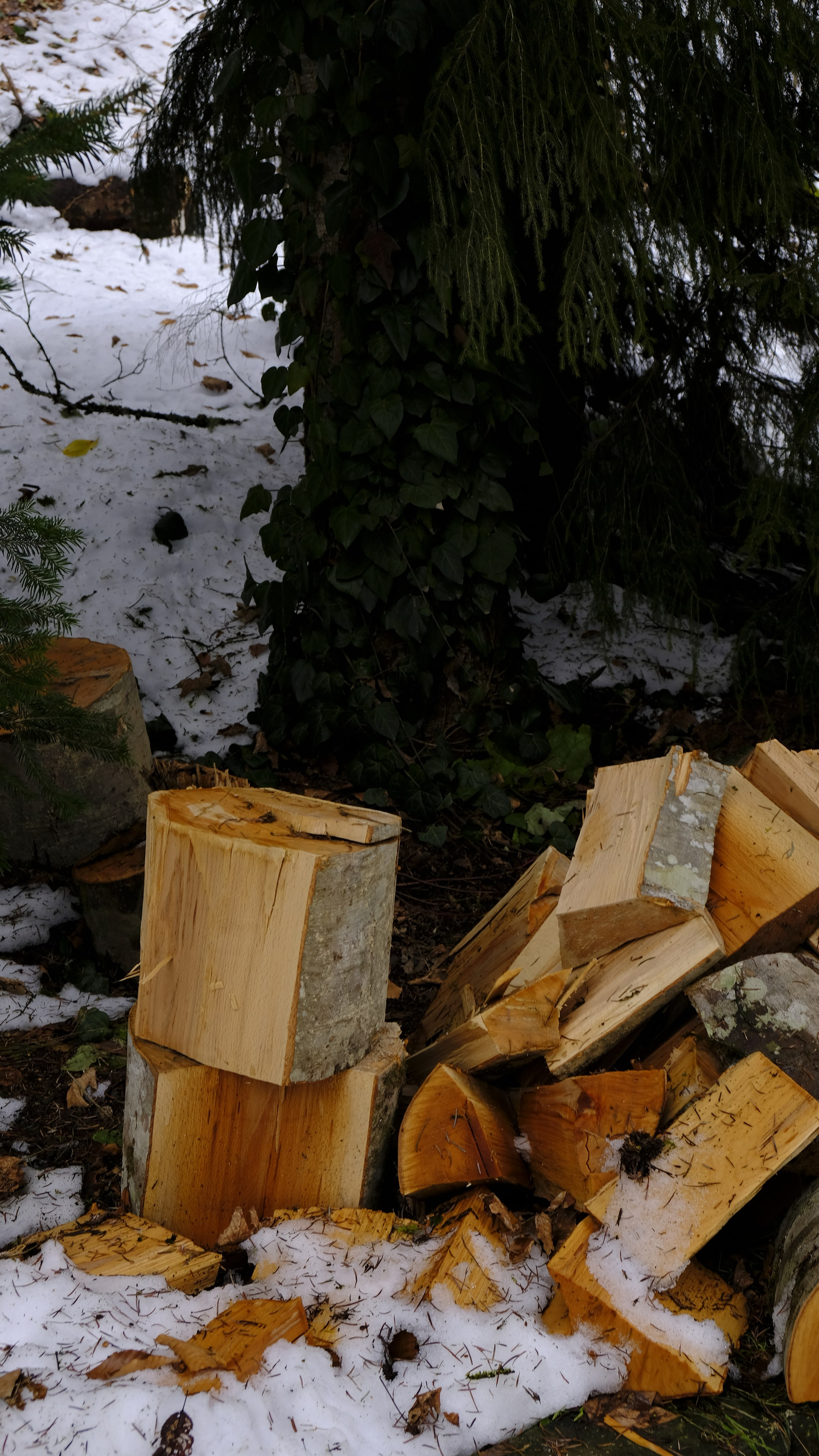 Сталинская дача на Рице зимой. Главная