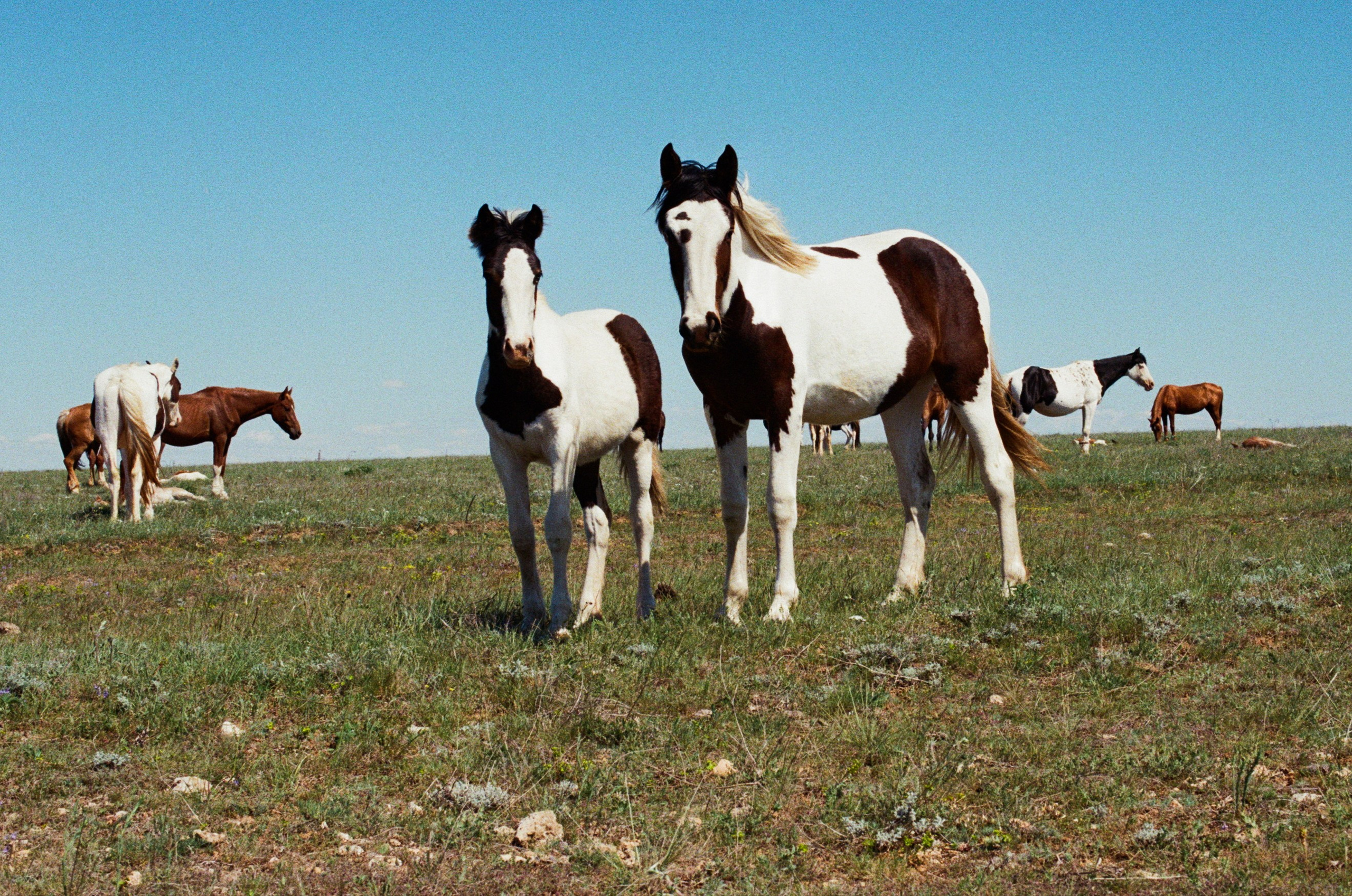 Some kind of madness // ukraine, crimea V. EVER EXPOSED