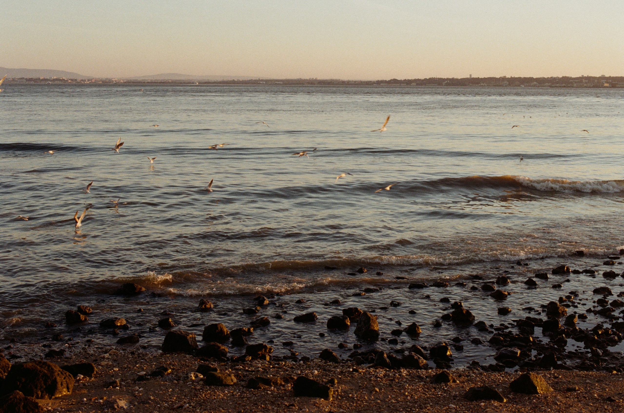 I think i'm ok // portugal, lissabon II. EVER EXPOSED