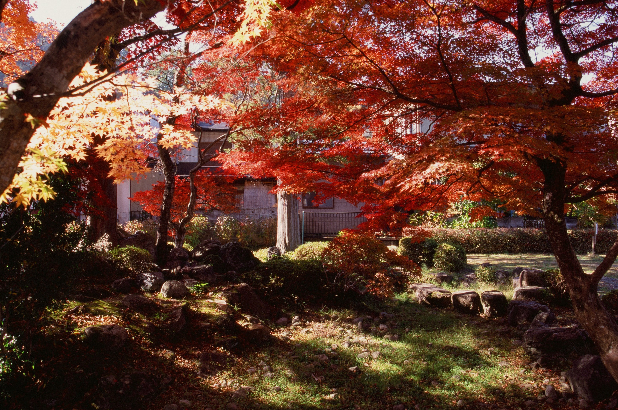 Out of noise // japan, takayama V. EVER EXPOSED
