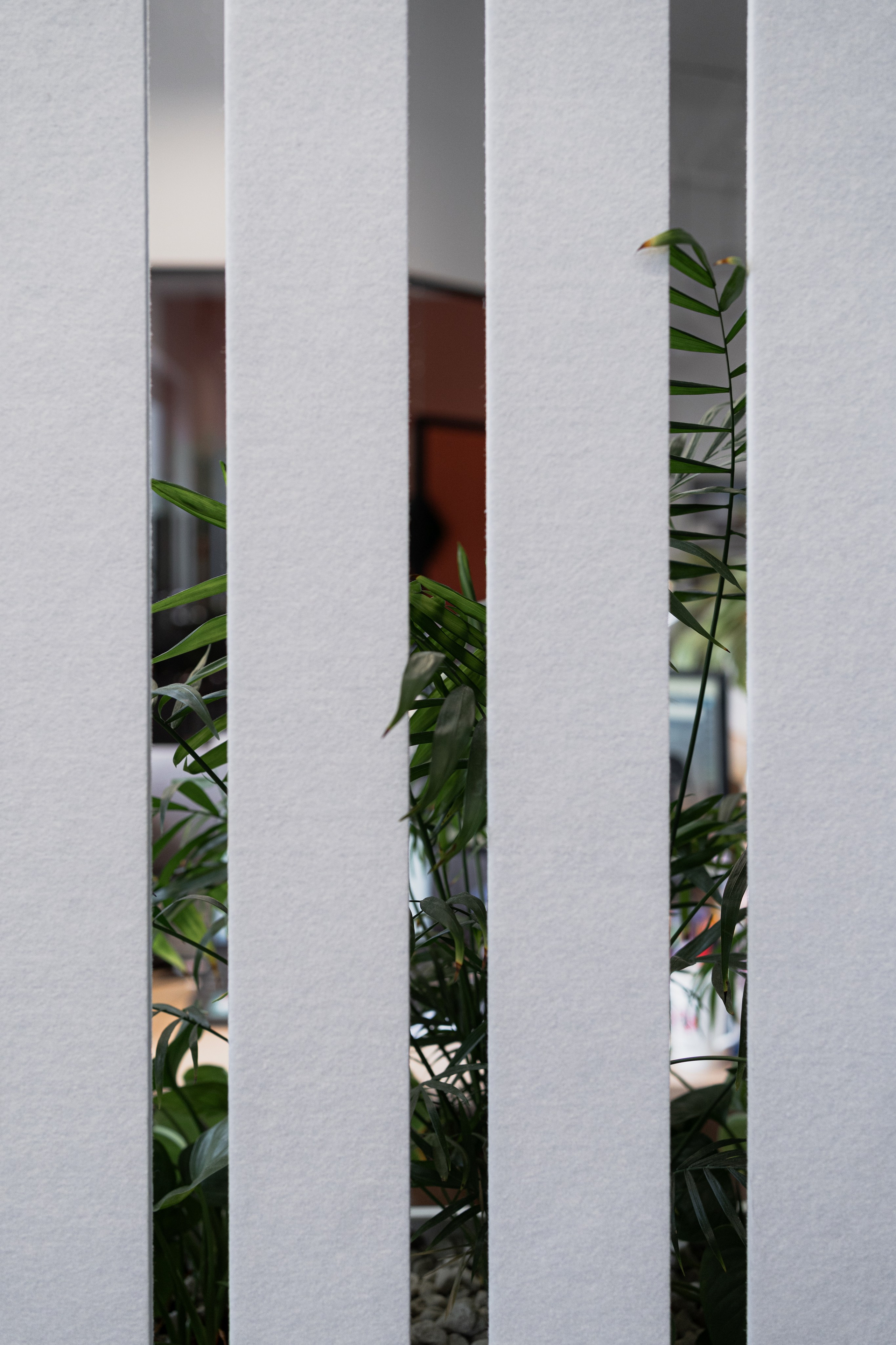 Terra. Елена Пашкевич, фотограф, Москва