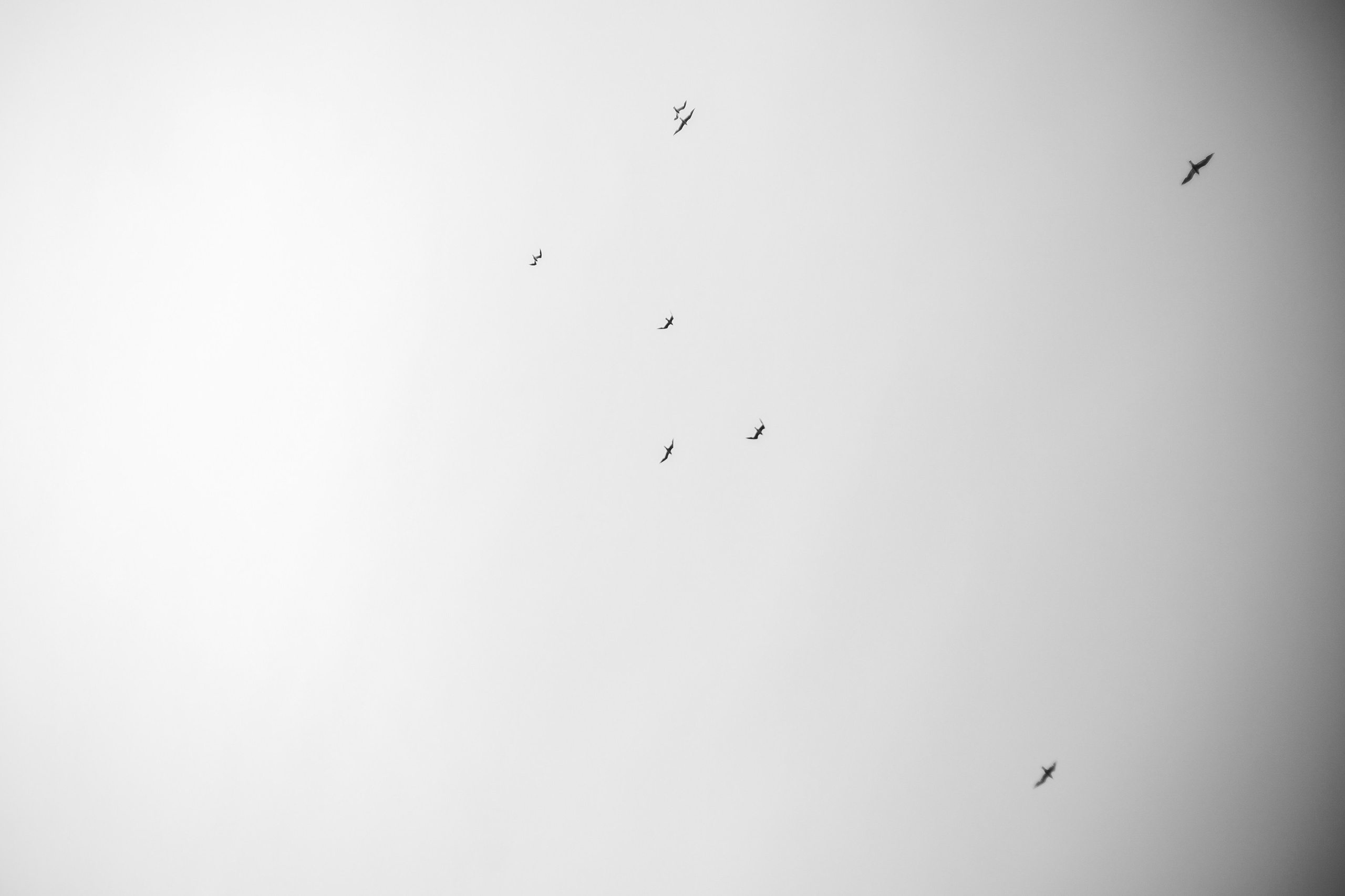 Аня и Женя. Портретный, семейный, свадебный фотограф в Брянске Маргарита Василькова