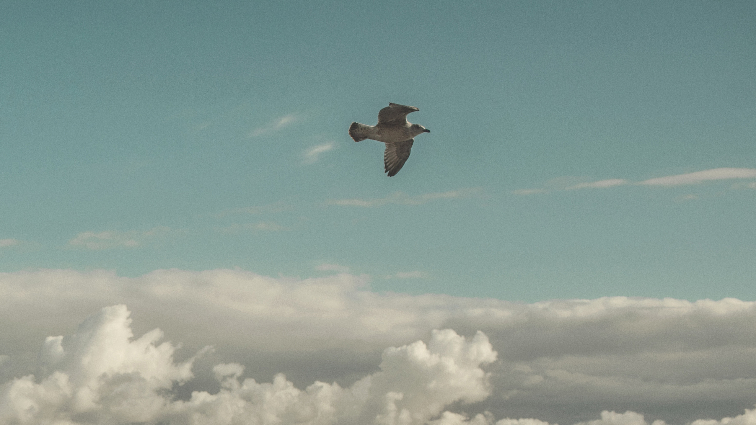 Выпускники. Фотограф и режиссер Сергей Спирин. Москва