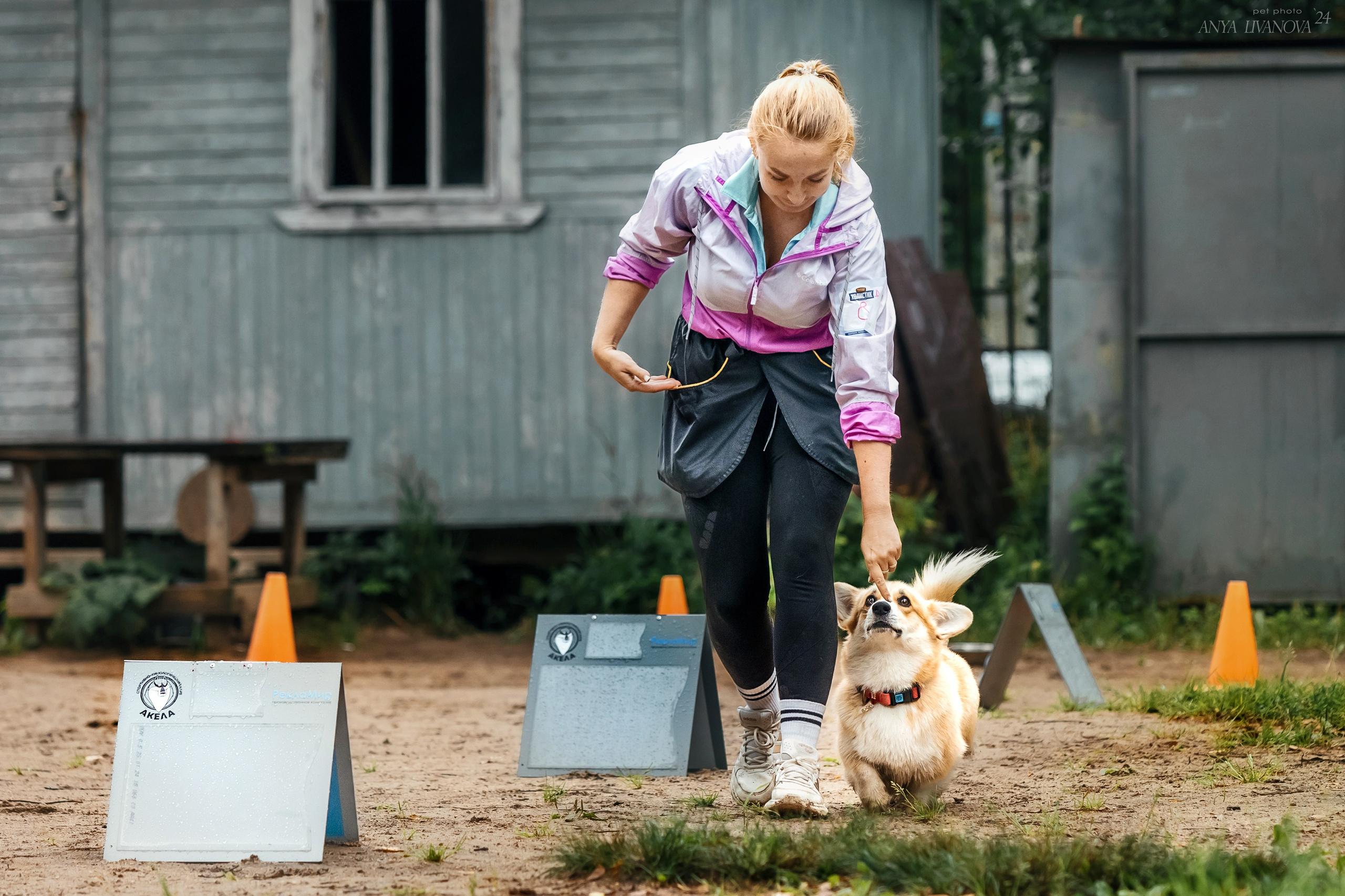 Ралли «Акела». Фотограф анималист Аня Ливанова | Рыбинск