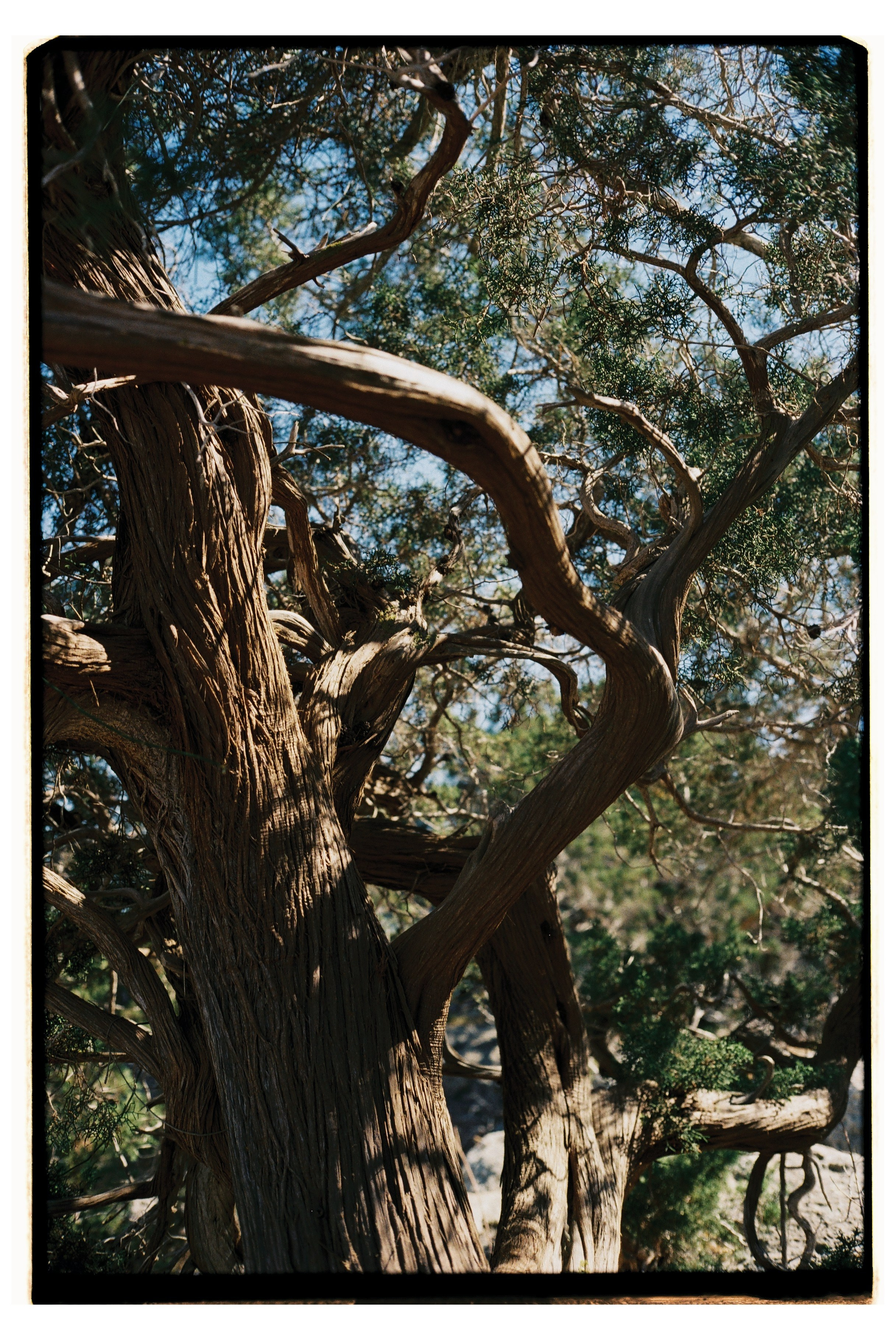 Mediterraneo. Фотограф Анастасия Губернаторова