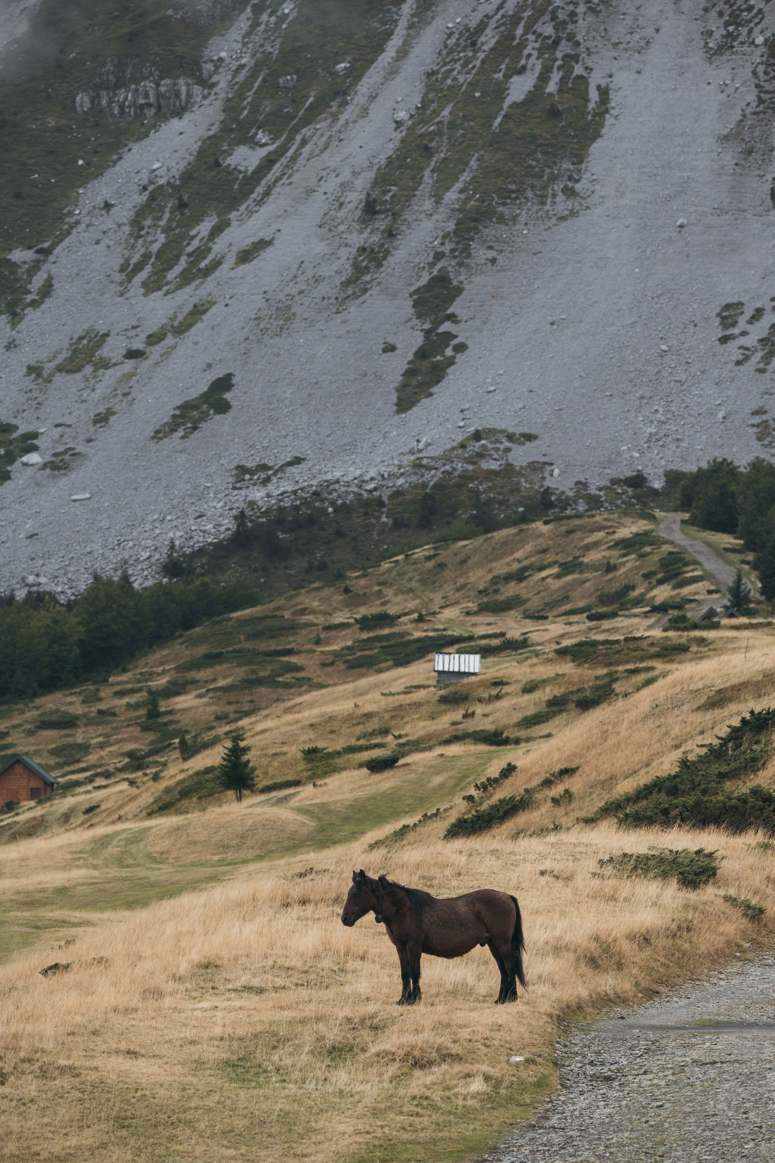 ГОРЫ КОМОВИ. ЧЕРНОГОРИЯ. Фотограф в Белграде Чугреева Елена